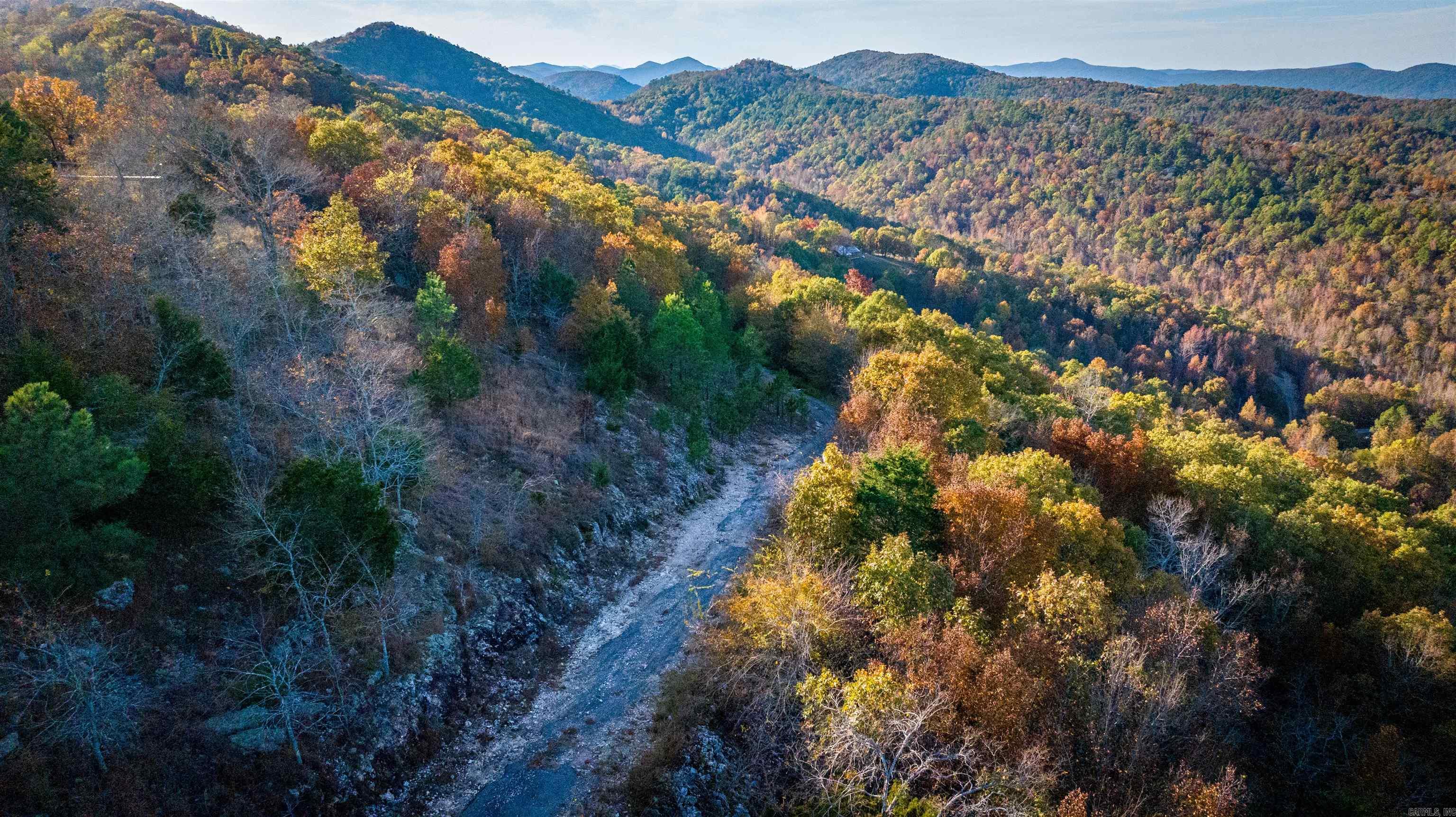 Camilla Springs - Farm