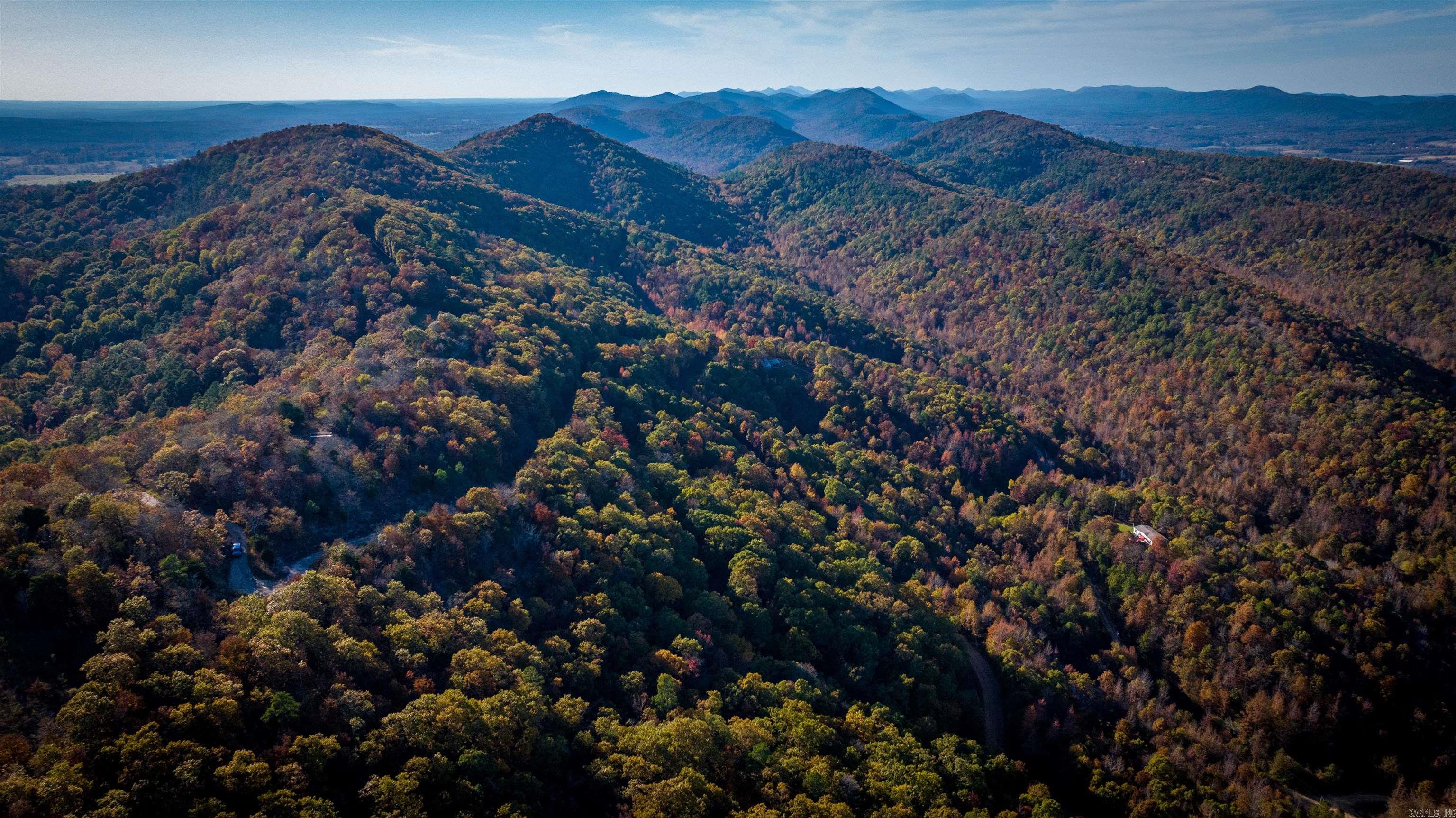 Camilla Springs - Farm