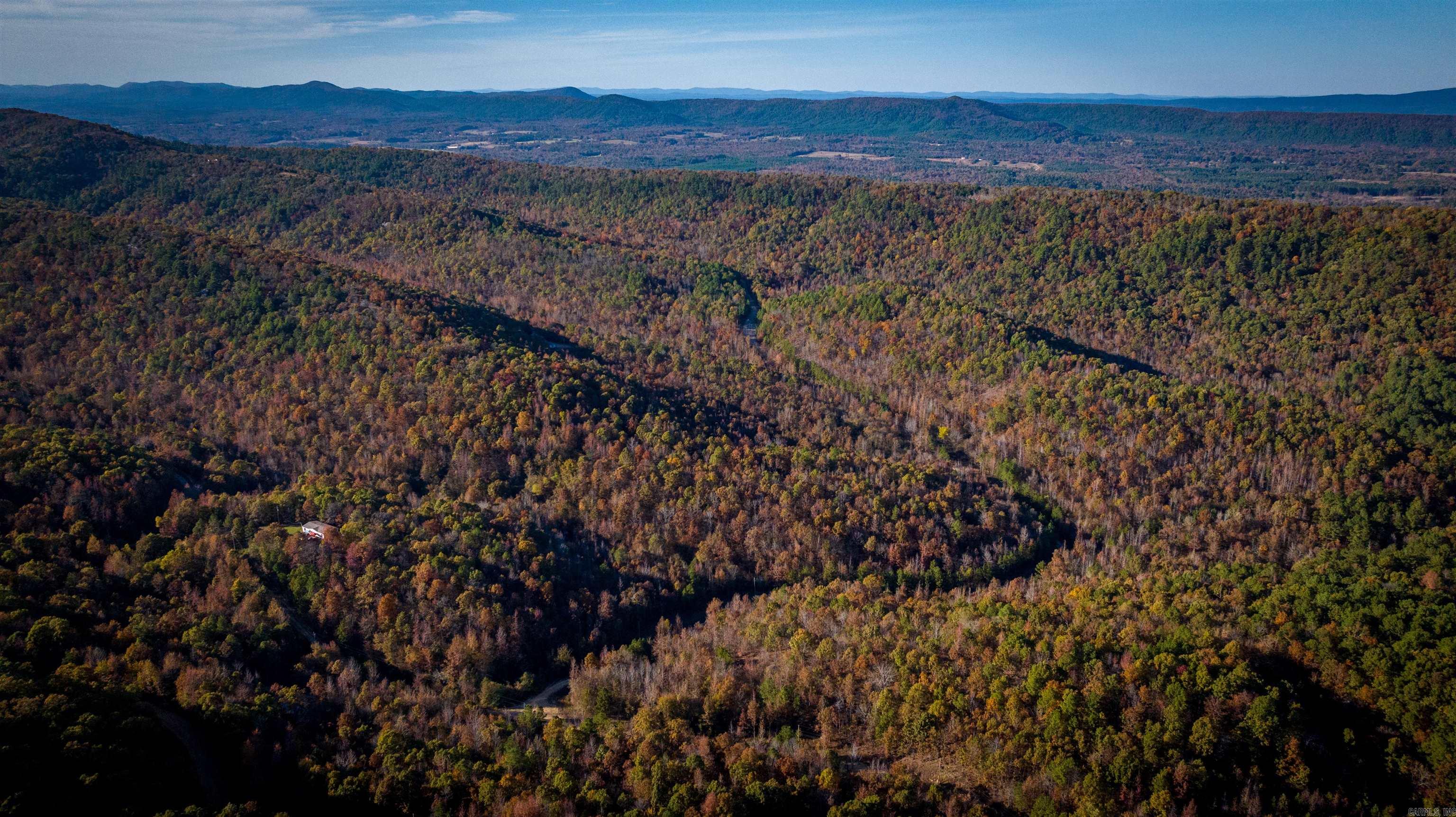 Camilla Springs - Farm
