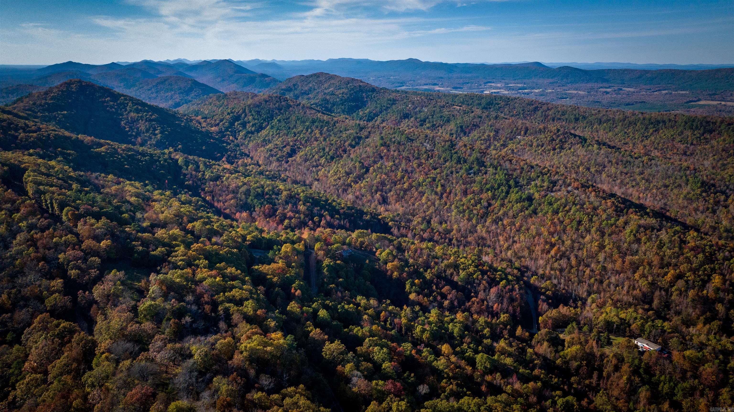 Camilla Springs - Farm