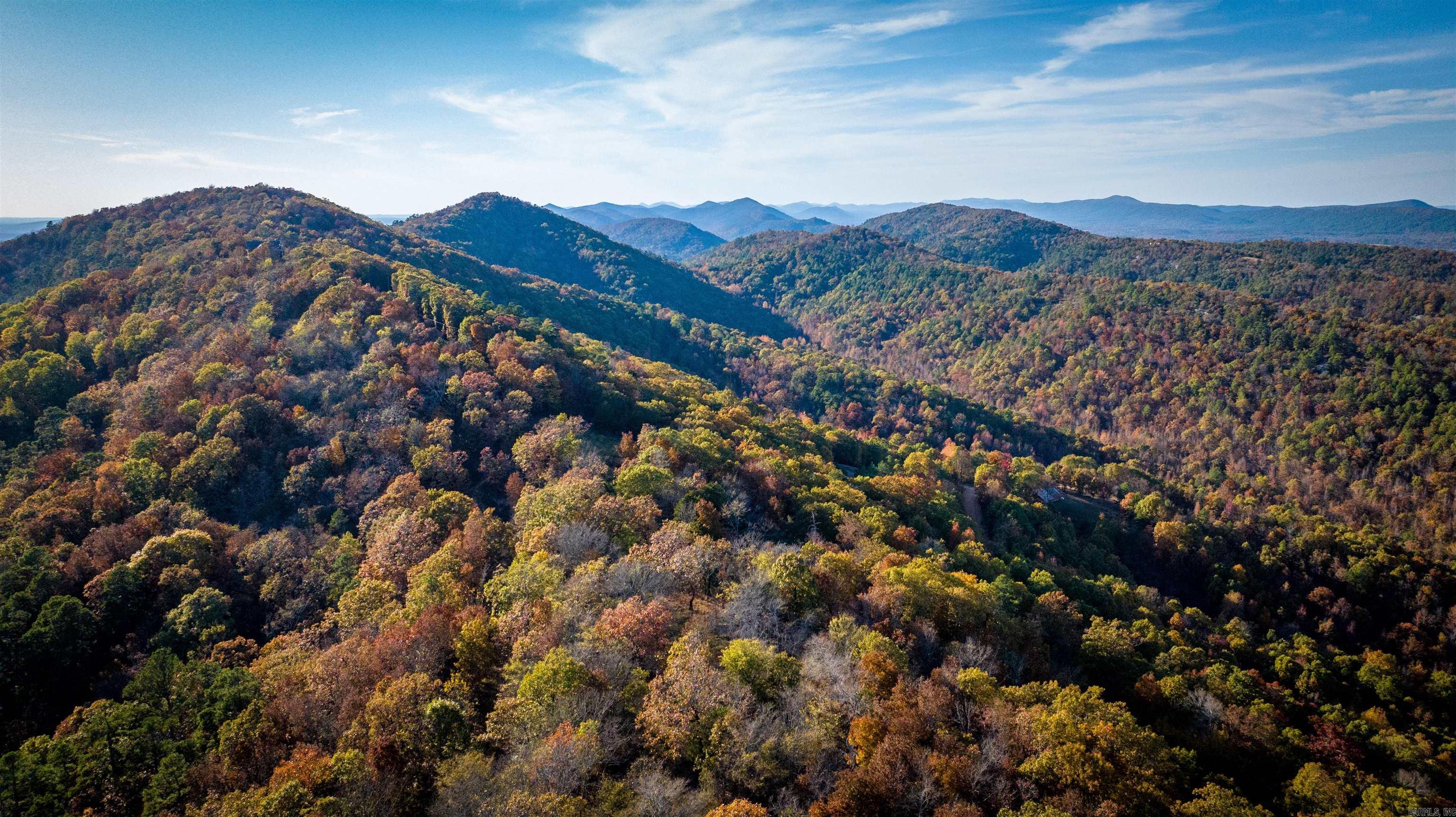 Camilla Springs - Farm