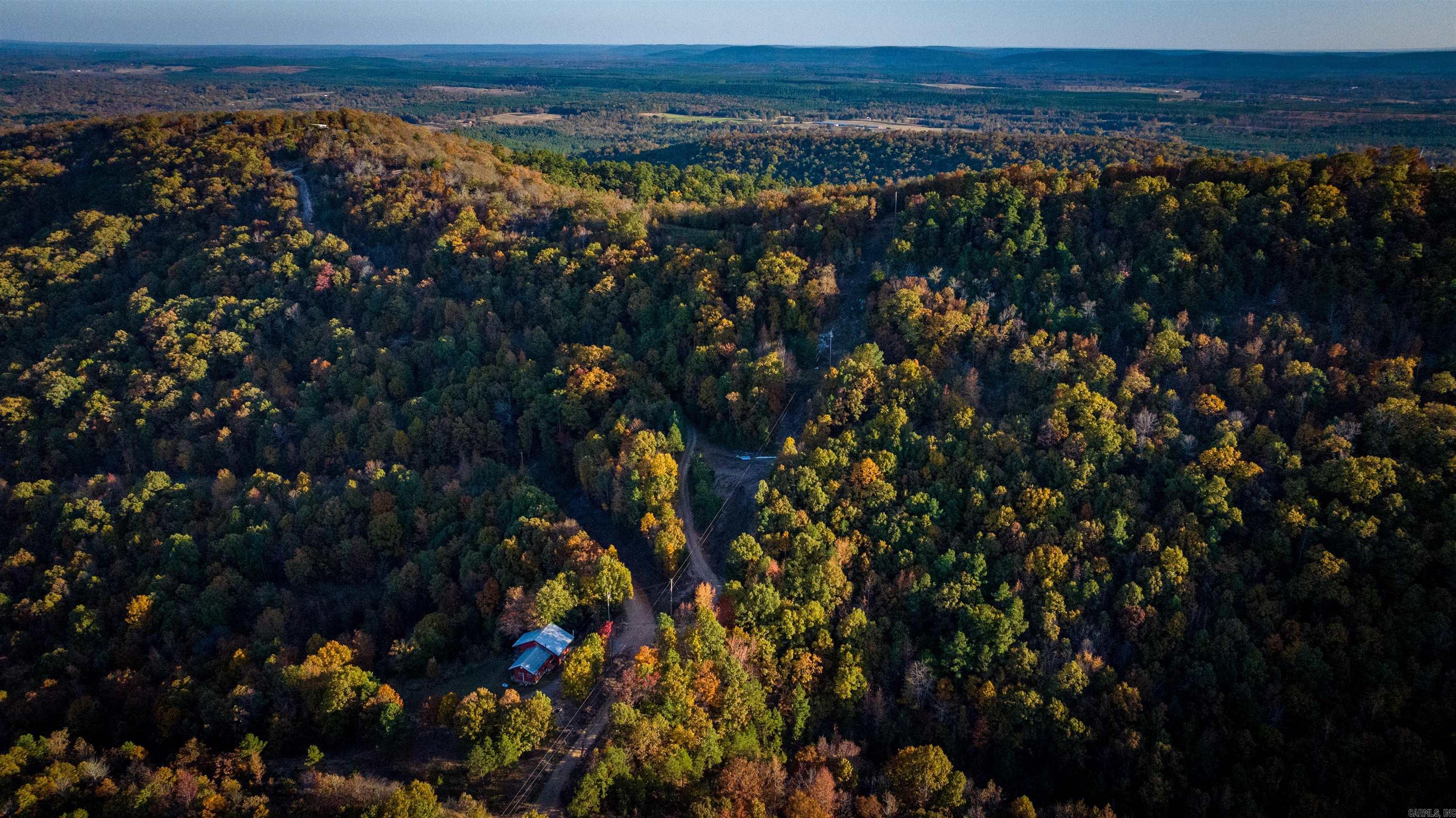 Camilla Springs - Farm