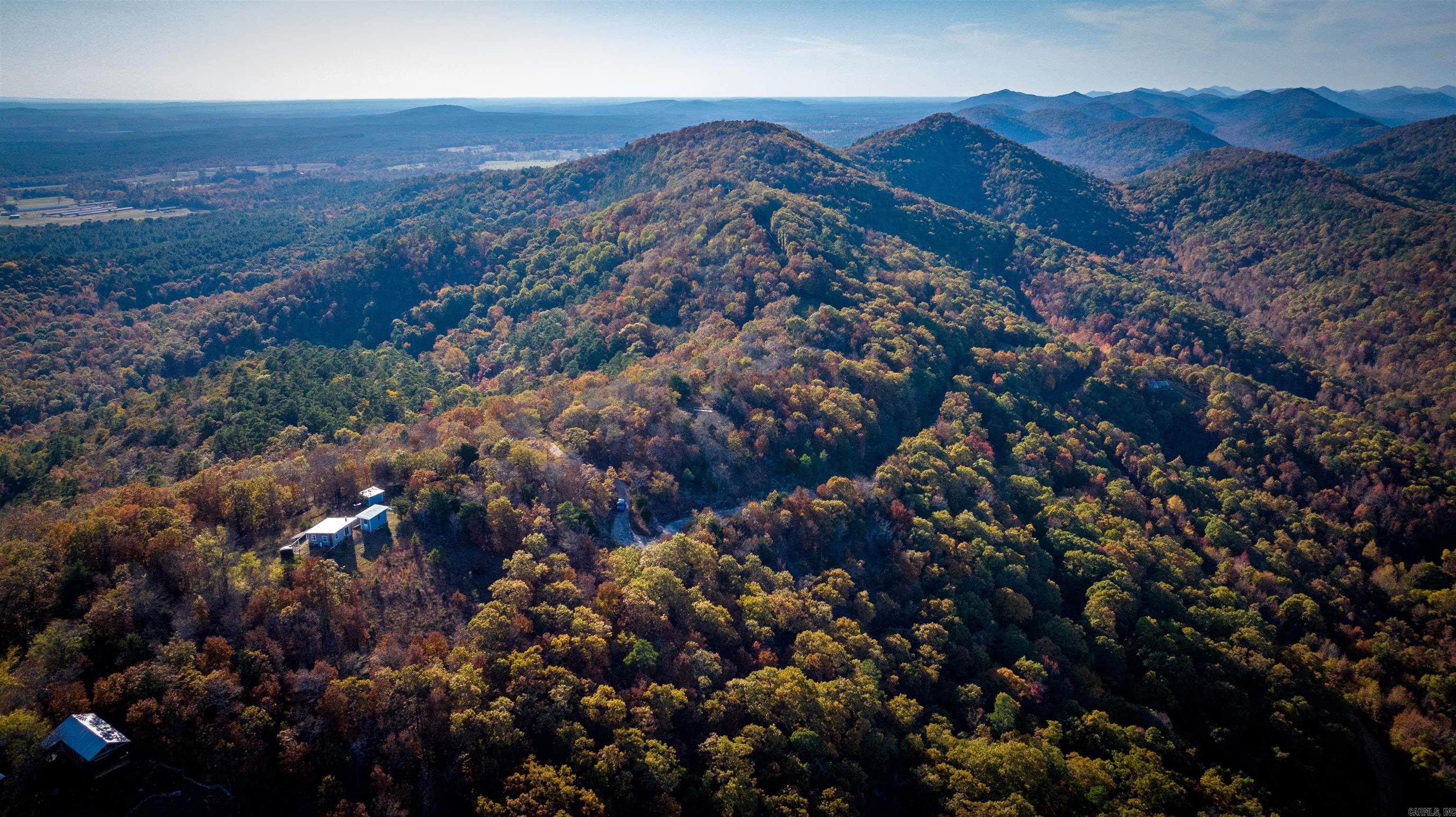 Camilla Springs - Farm