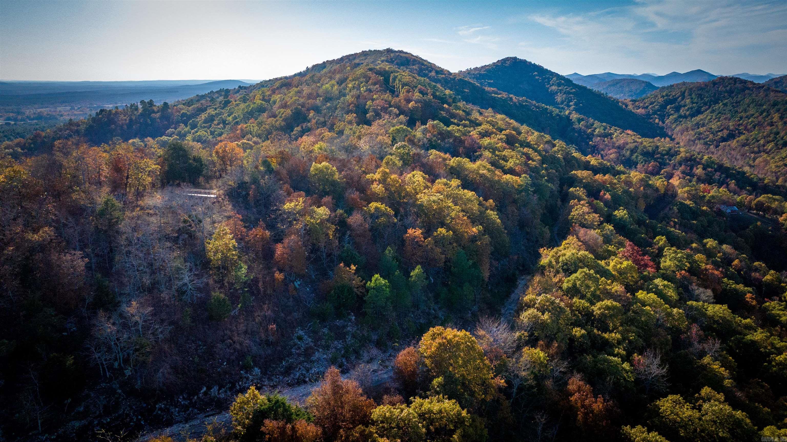 Camilla Springs - Farm