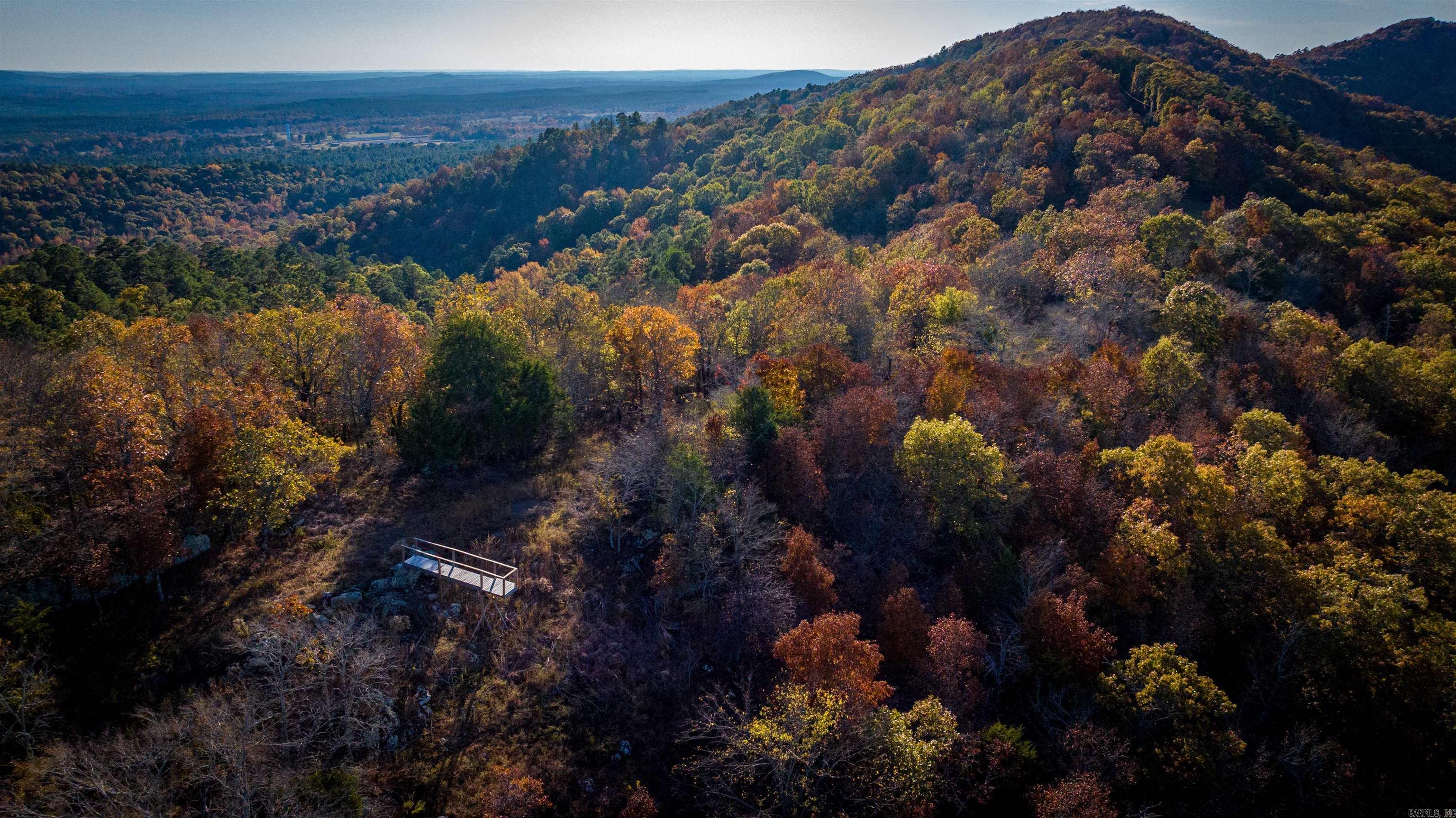 Camilla Springs - Farm