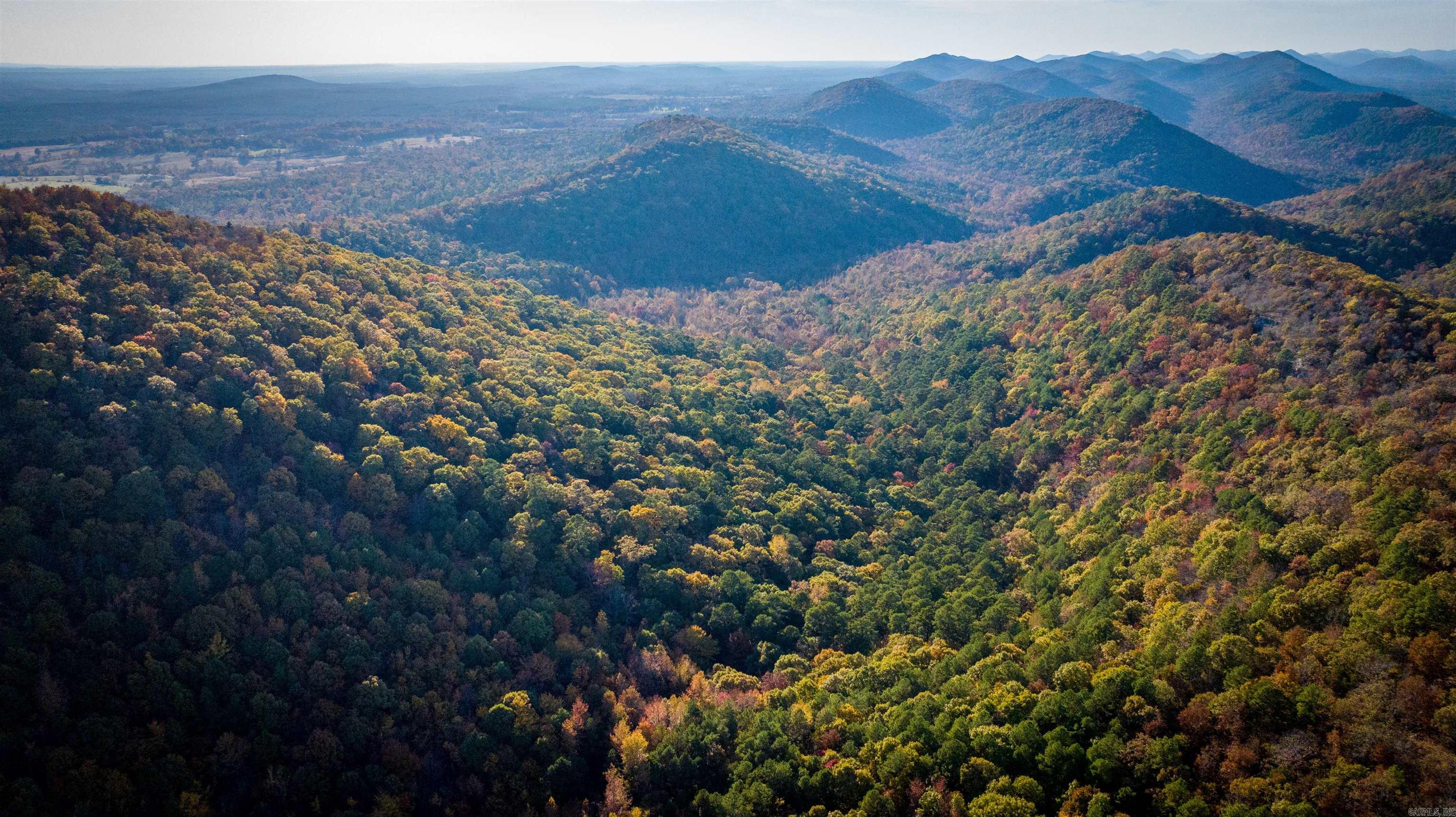 Camilla Springs - Farm
