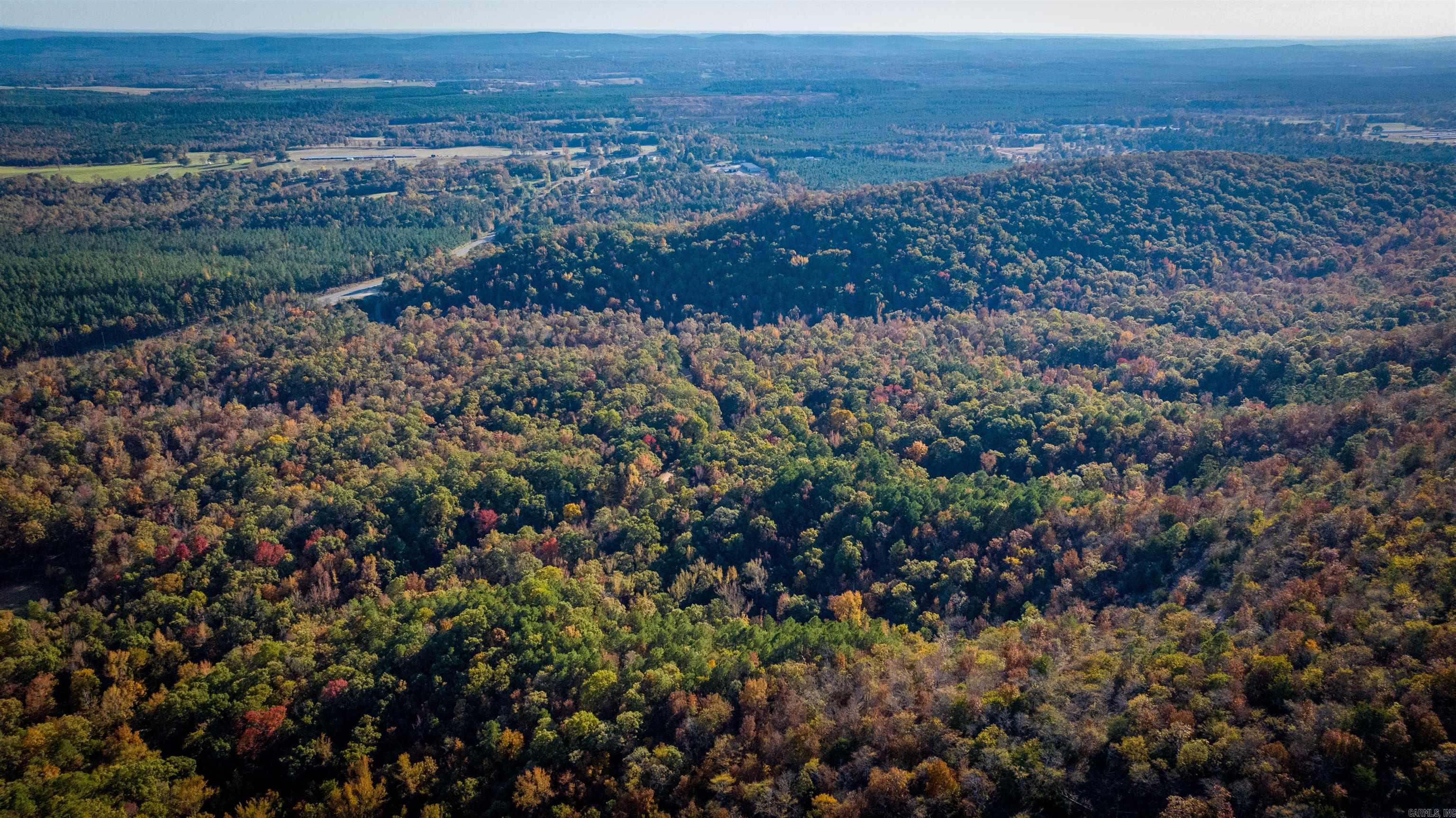 Camilla Springs - Farm
