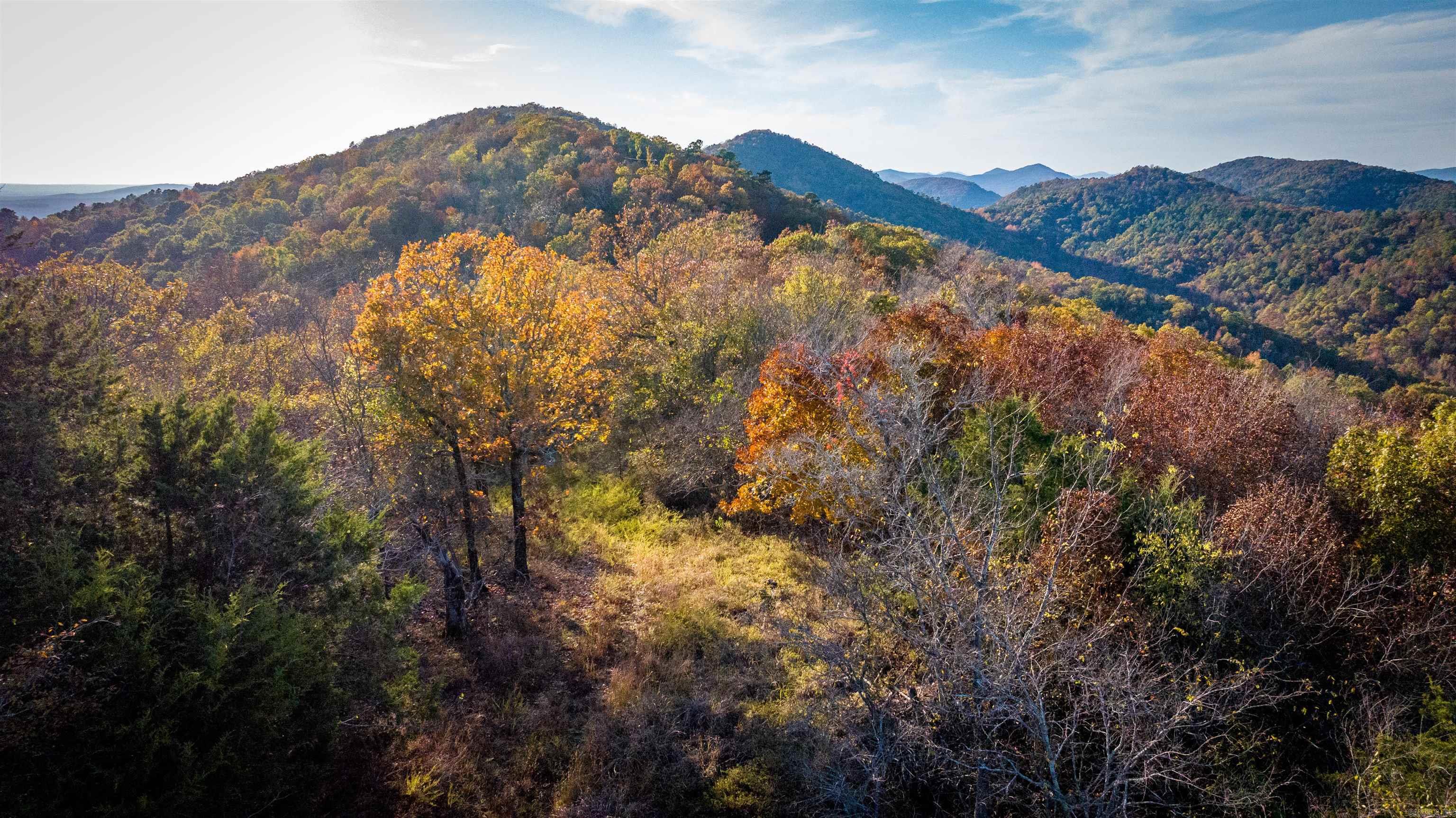 Camilla Springs - Farm