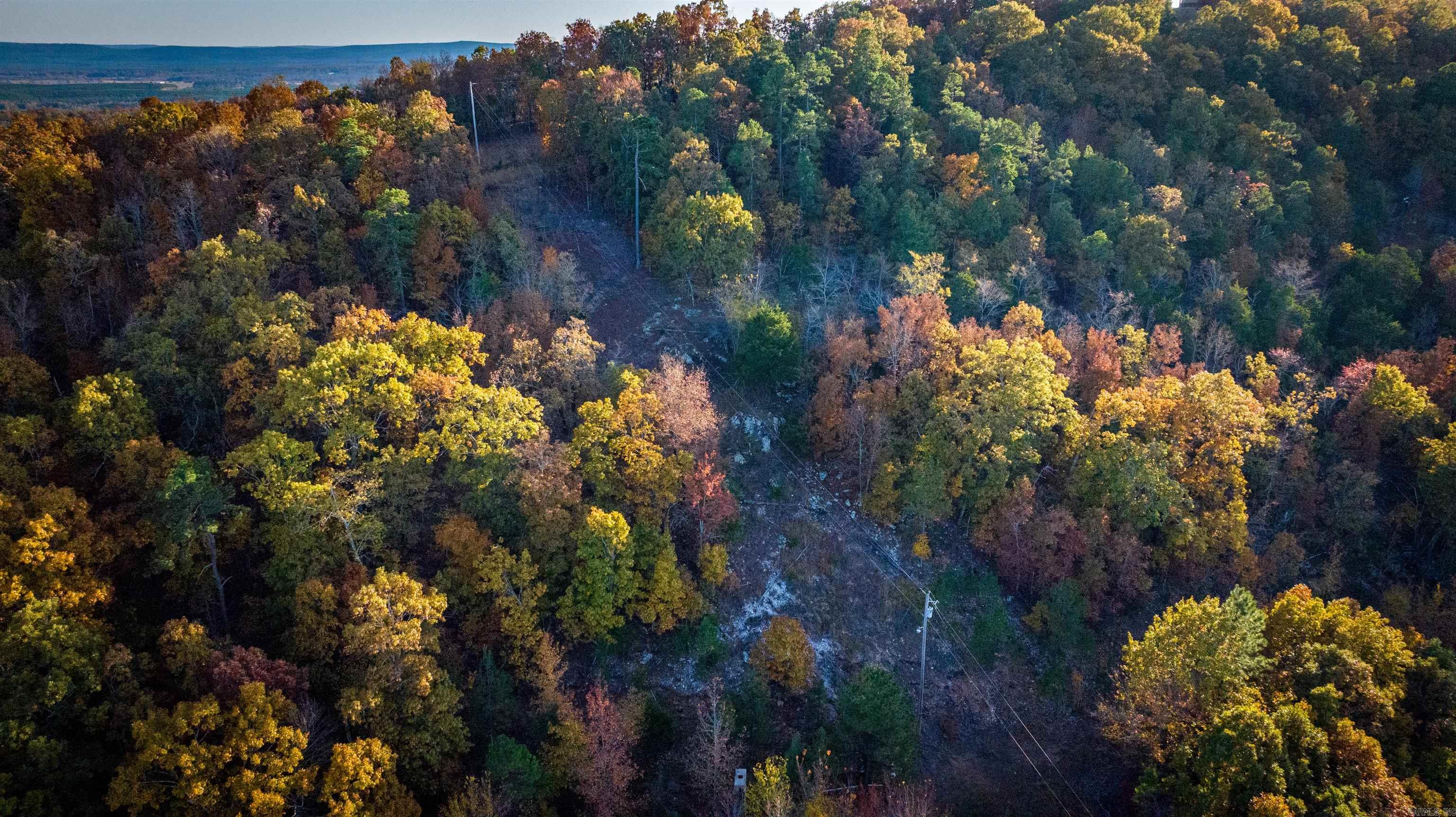 Camilla Springs - Farm