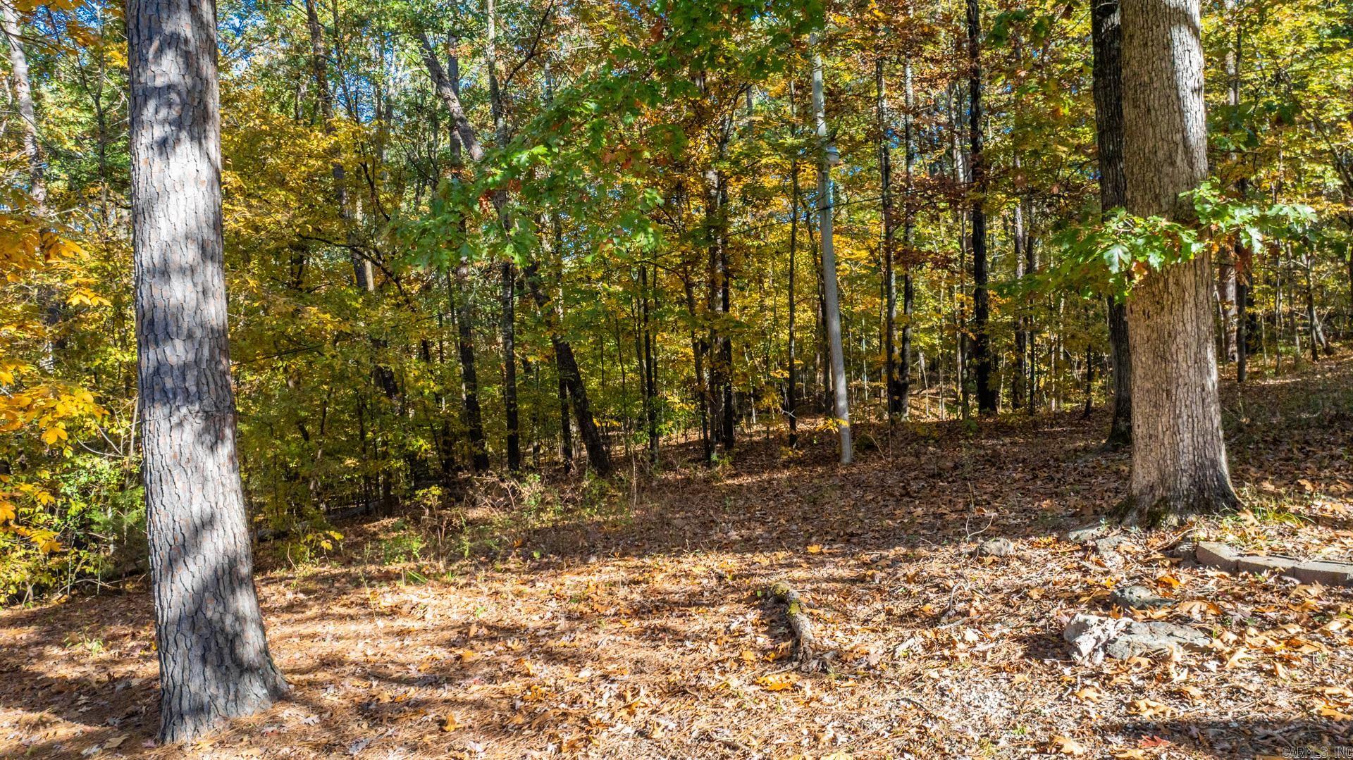 TIMBERMIST - Residential