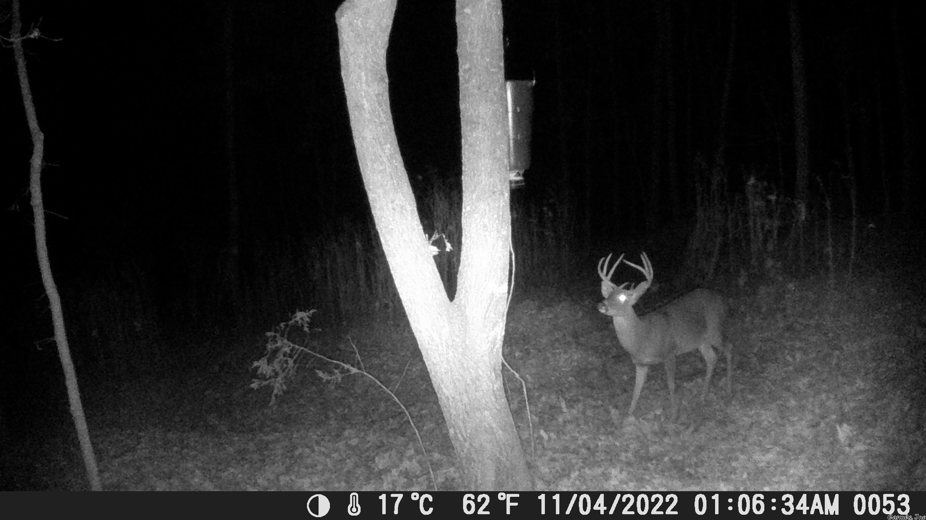 Not in Subdivision - Land