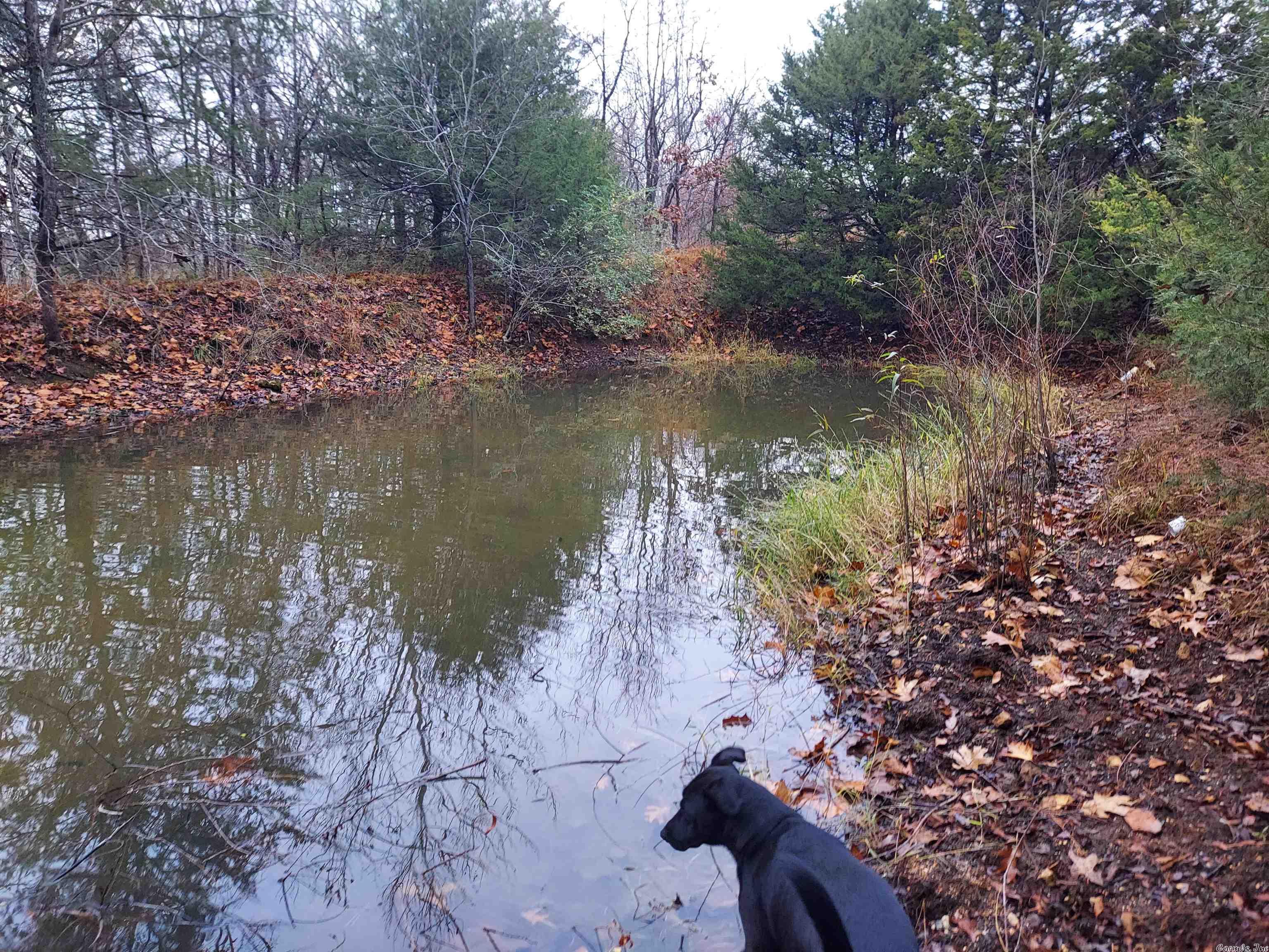 Not in Subdivision - Land