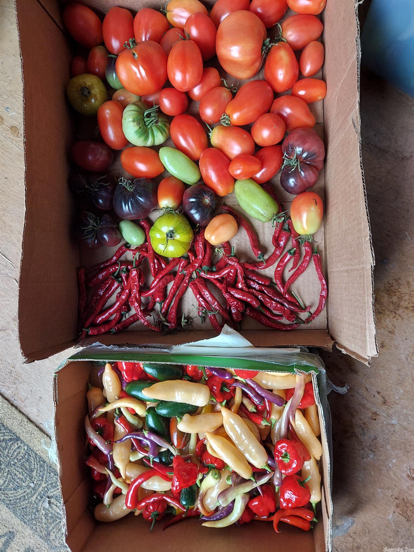 Not in Subdivision - Land