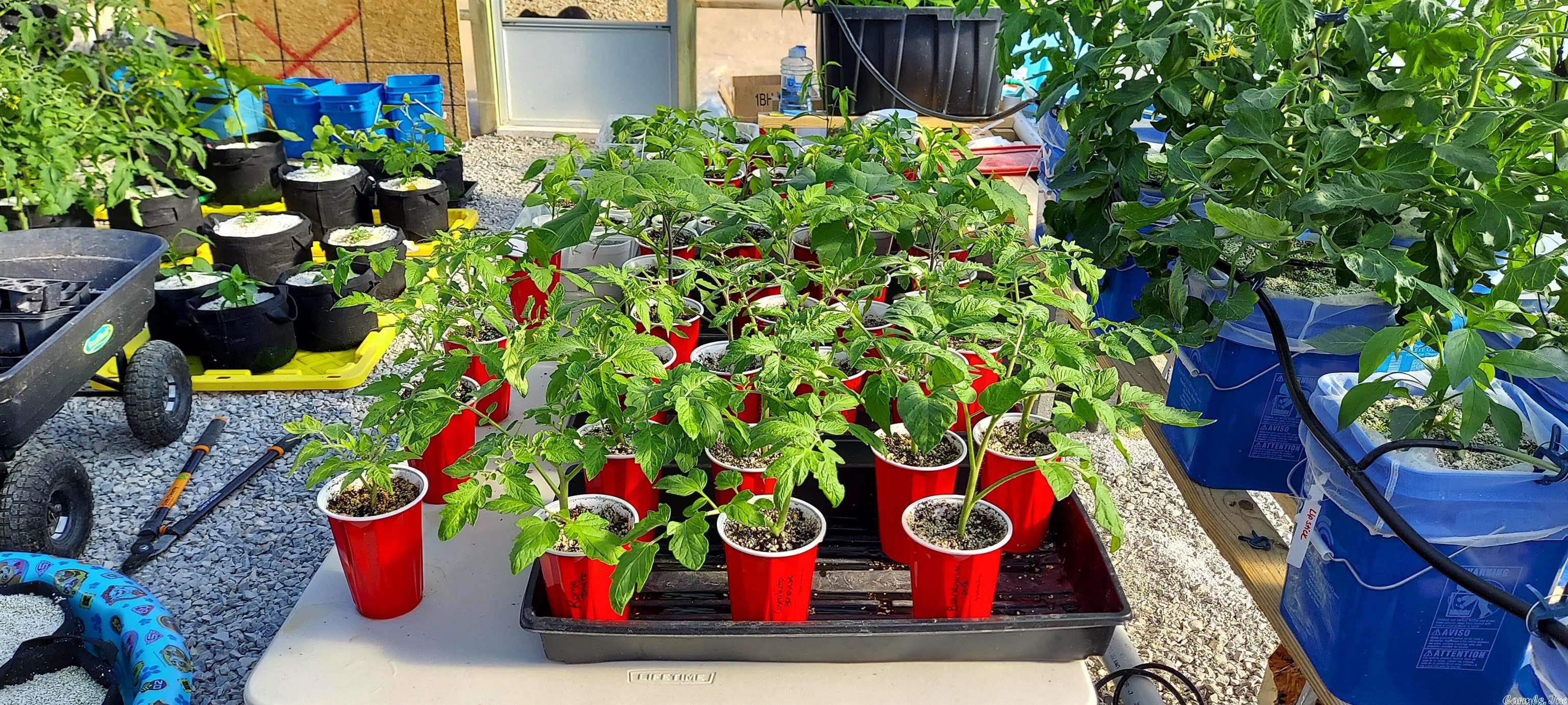 Not in Subdivision - Land