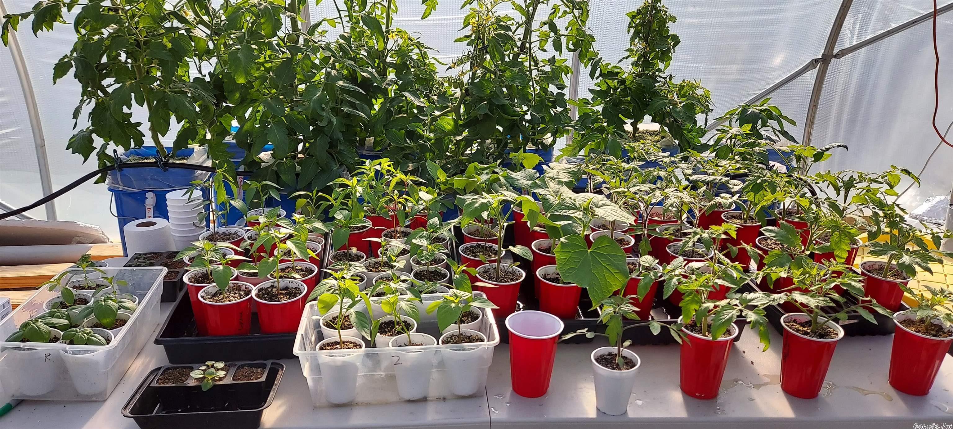 Not in Subdivision - Land