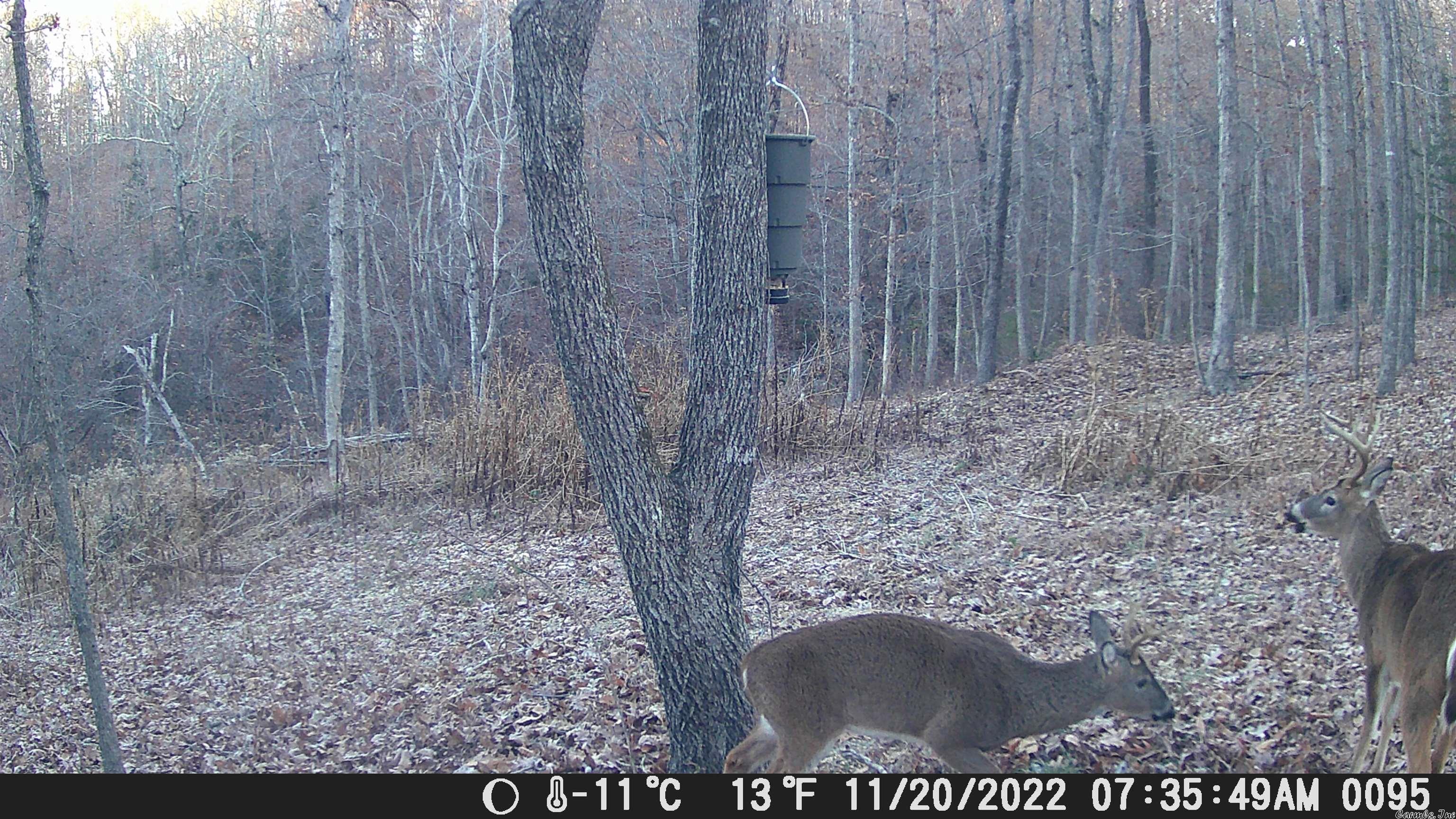 Not in Subdivision - Land