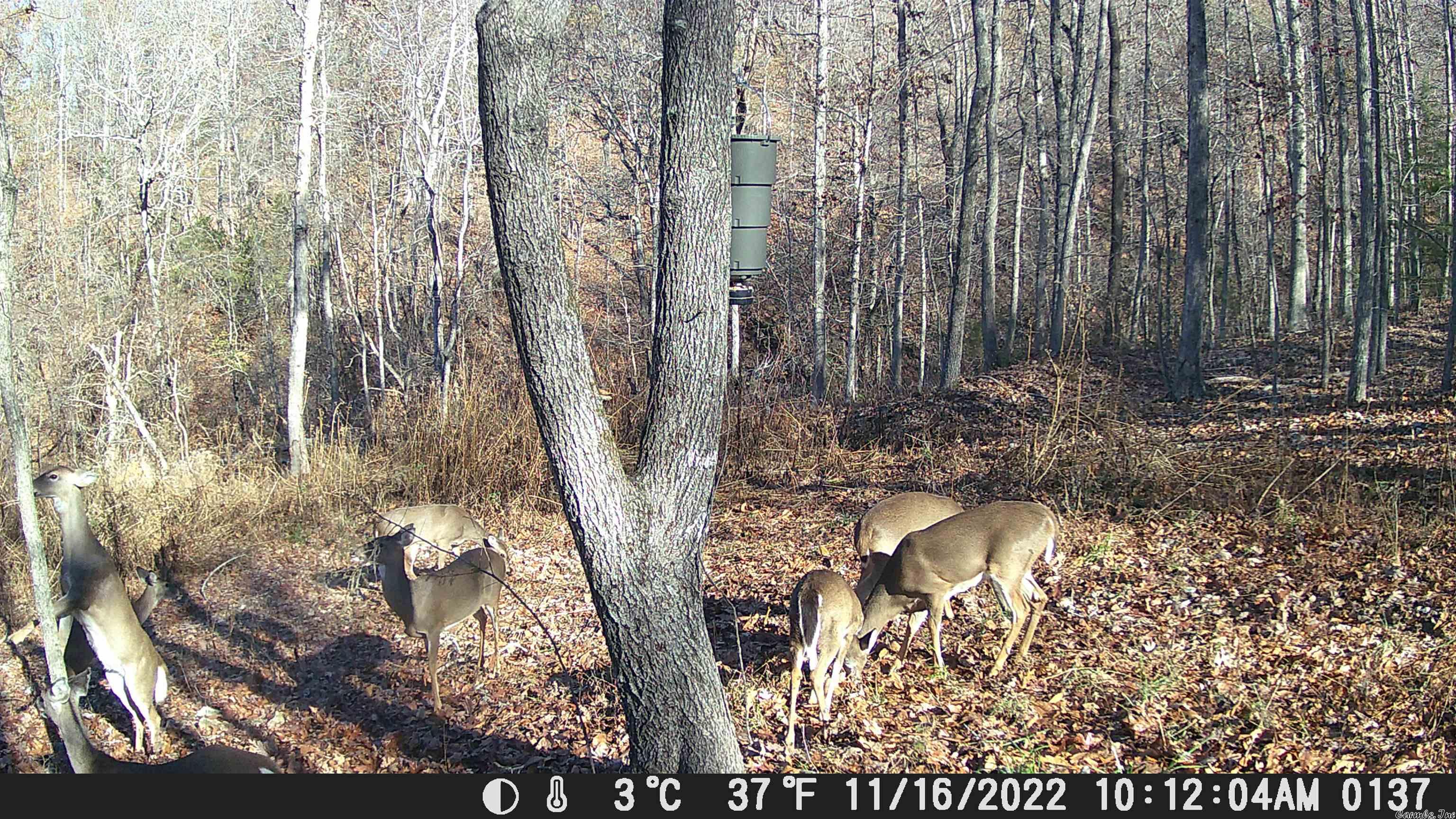 Not in Subdivision - Land