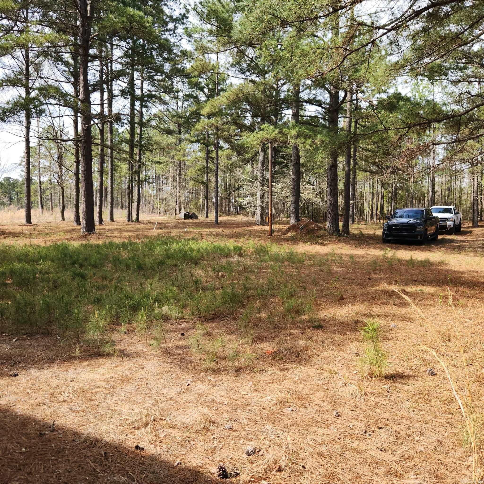 Whitfield - Residential