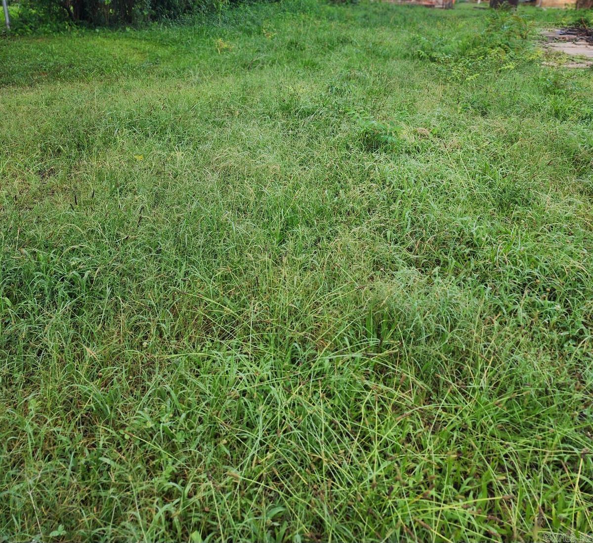 Mena Original - Land