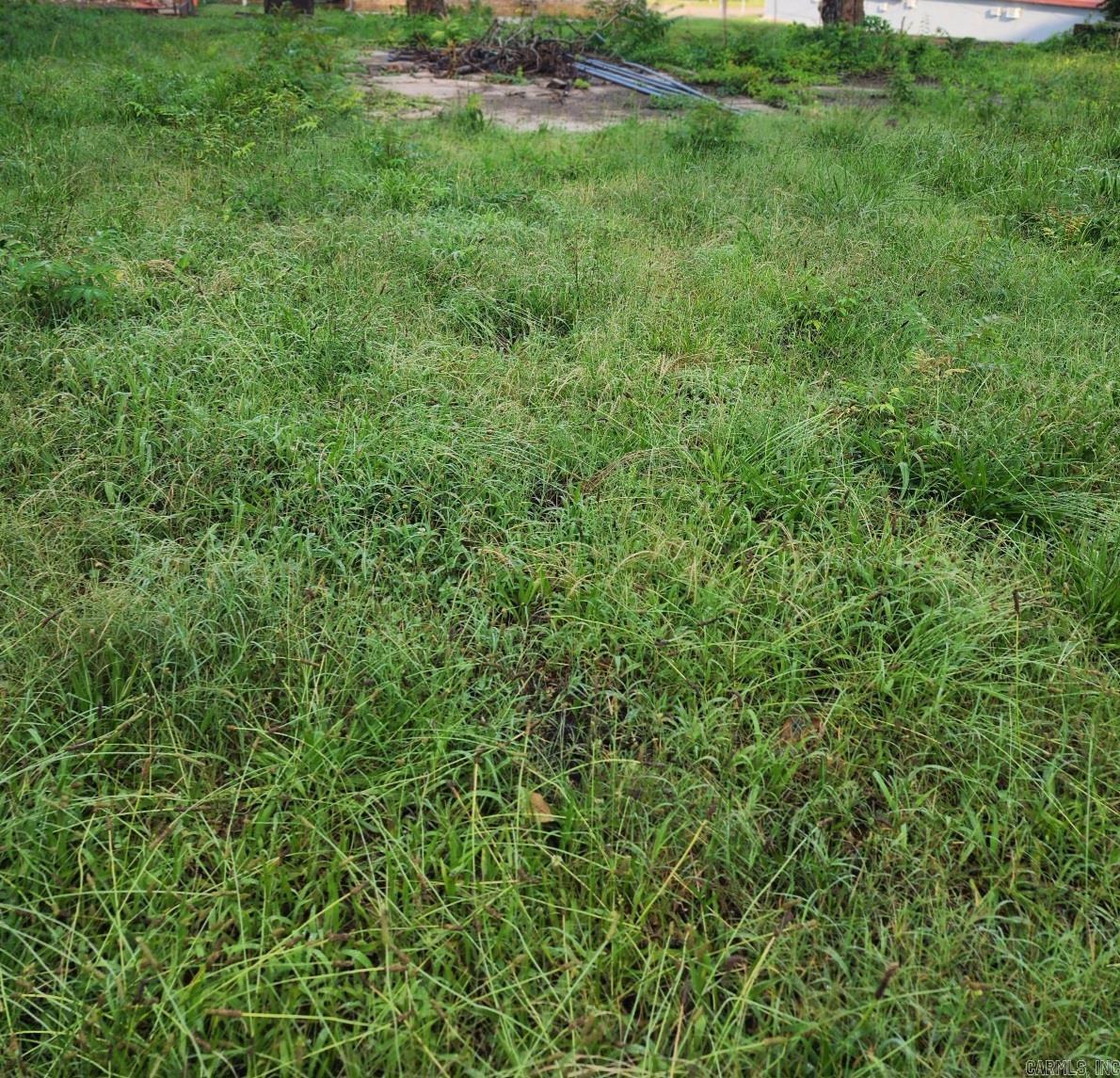 Mena Original - Land