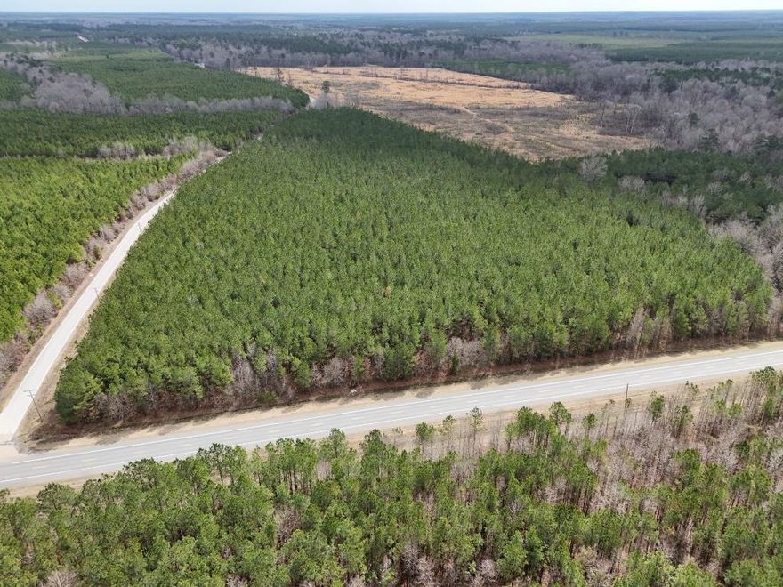 This versatile property offers easy access from both Ladelle Rd and Hwy 425, with no zoning, HOA, or deed restrictions. Build your dream home or invest in sub-dividable land, with no minimum lot size requirement. A well and septic system are needed to build, while electricity is available on the nearest street. This property has everything!  Small Creek, close to town, seclusion back in the pines with lots of valuable road frontage!