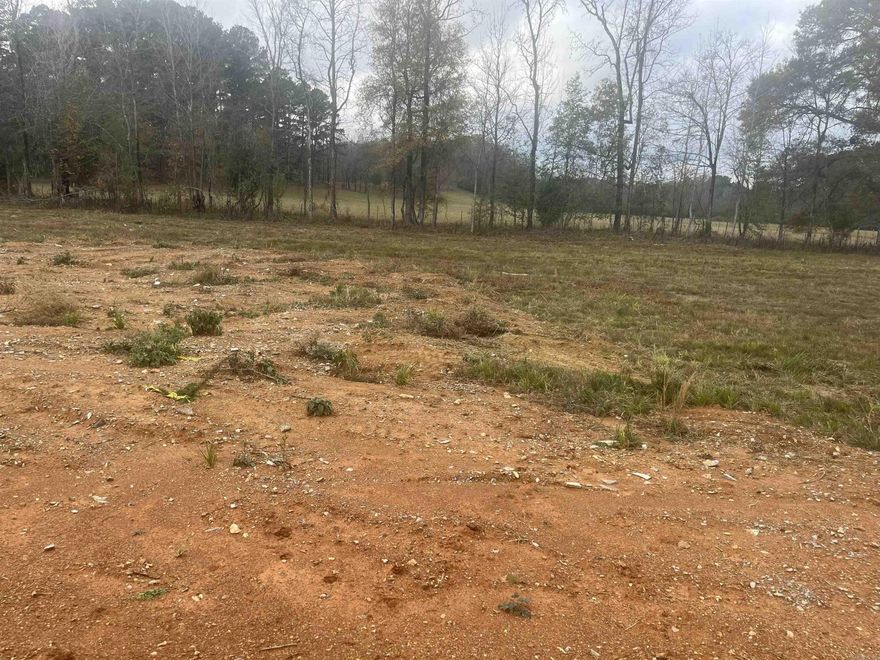 New lots in Creekside Subdivision. Best location in Bryant. Mostly cleared and ready to build. Plat and Bill of Assurance in docs. New street, address will not GPS. Use 6150 Creekwater, Alexander, AR.