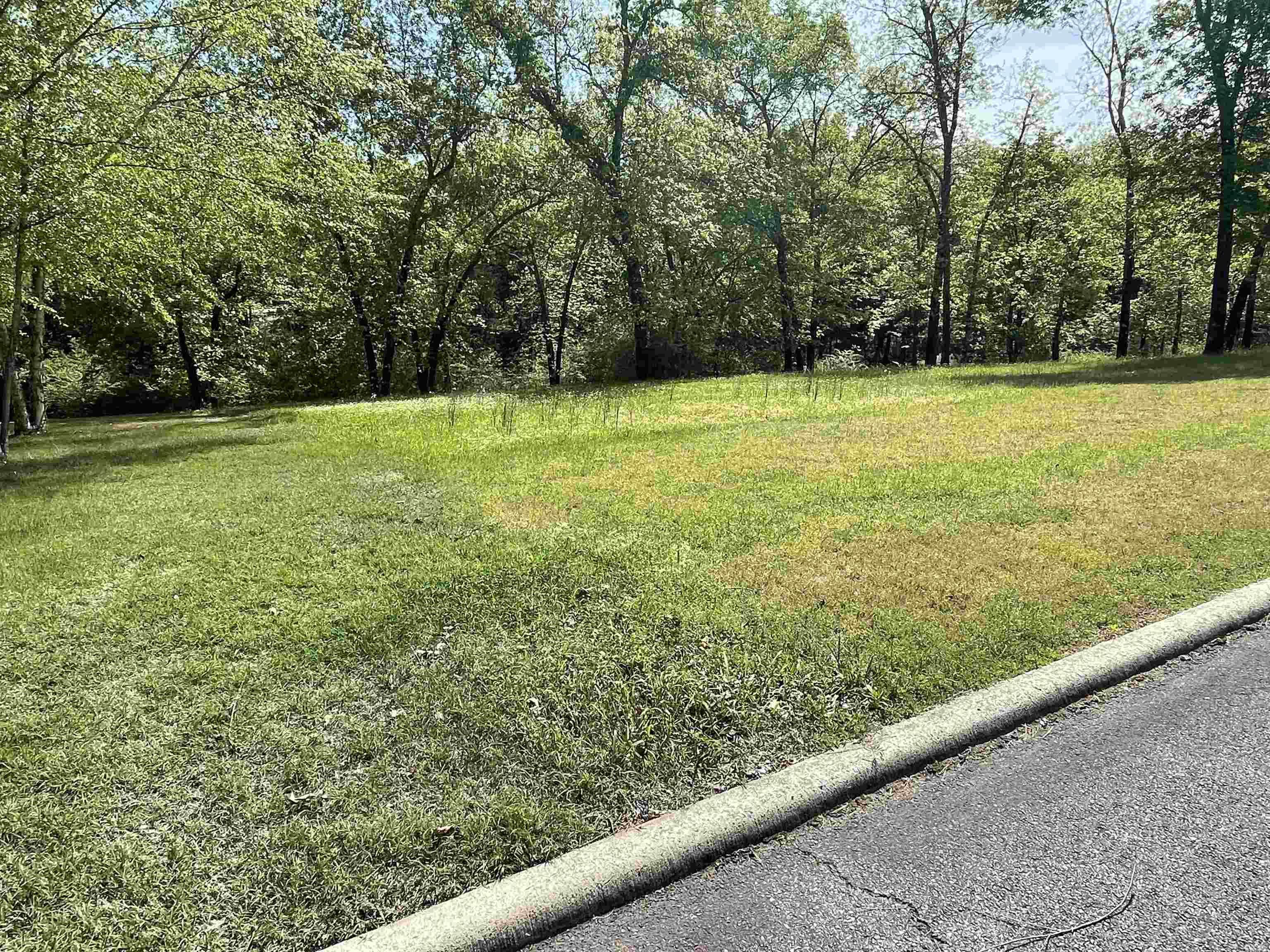 Welcome to Brighton Pointe! Great lot to build your new home in this beautiful gated subdivision. Enjoy this location being close to all the conveniences of Heber Springs as well as Greers Ferry Lake and close to Little Red River. Beautiful homes surround this subdivision with a community pool for your enjoyment. You will not be disappointed to see this one!