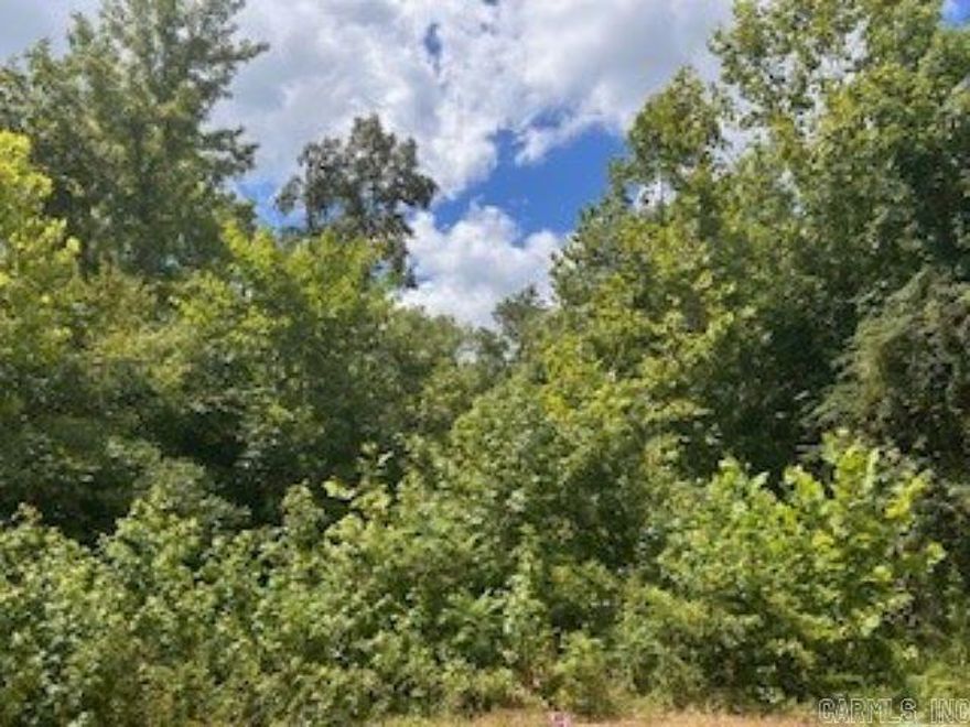 Great treed lot for your new home situated on a nice quiet cul de sac.  The lot next door is also for sale.  The two would make a large, lovely home site. Come check it out today!