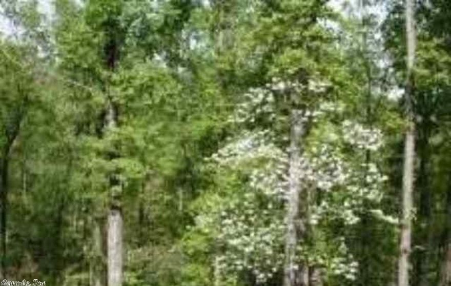 Sold before listed. 5 acre lot with Mayflower sewer and water at the road. Unimproved property.