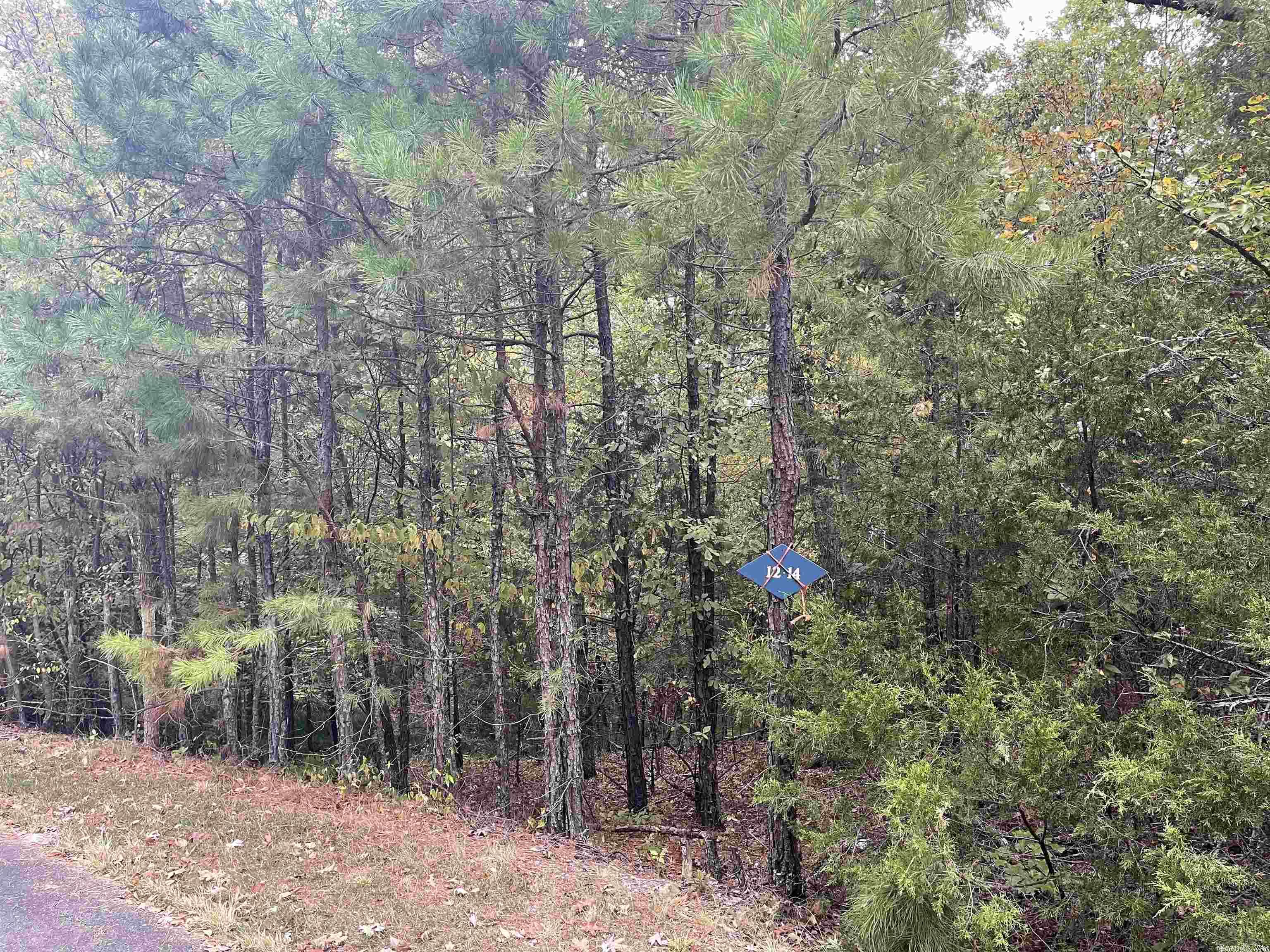 Gold Membership! Interior lot on Diamante. A Private Country Club, Subdivision inside the largest gated community in the country. It is home to the award winning #3 ranked Golf course in Arkansas by Golf Digest. Amenities also include tennis, private pool, dining and an array of social events. Hot Springs Village has 26,000 acres and has miles of walking trails, 11 lakes, 8 additional golf courses, and many other activities. Close to the Historic downtown Hot Springs bath houses and Oaklawn horse racing.