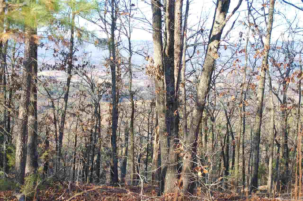 Old Potter - Residential