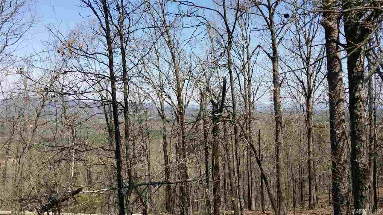 Old Potter - Residential