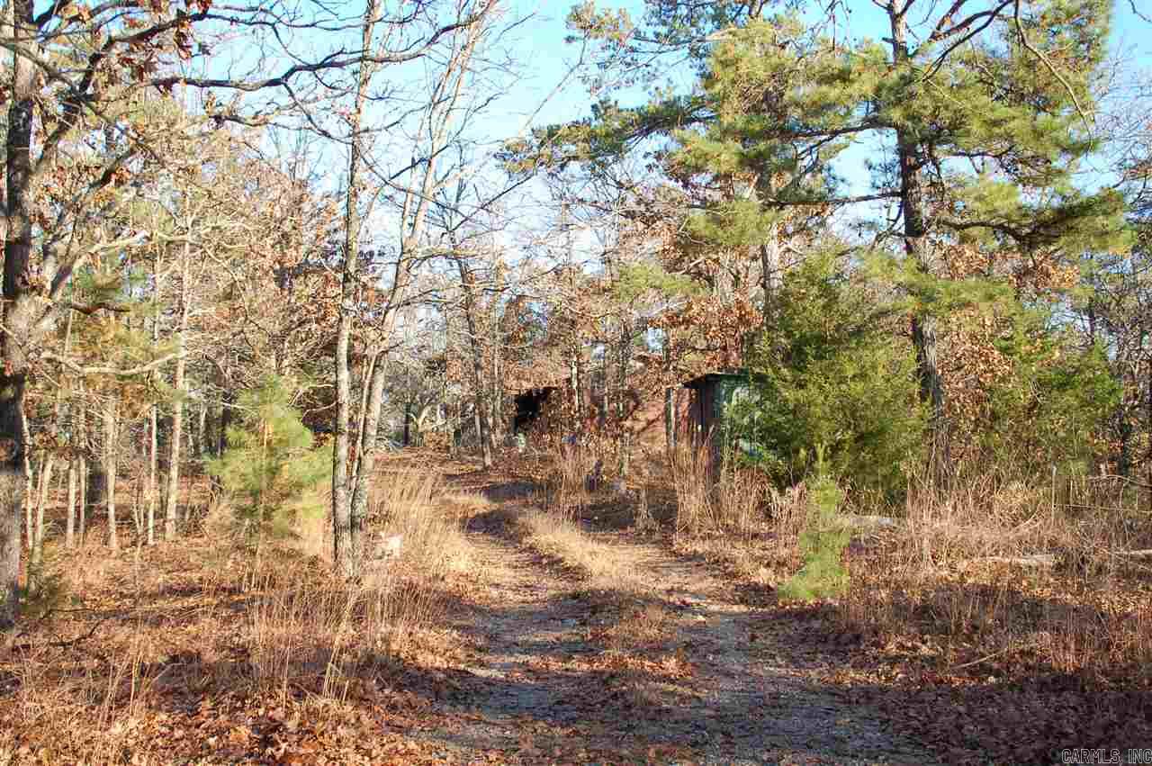 Old Potter - Residential