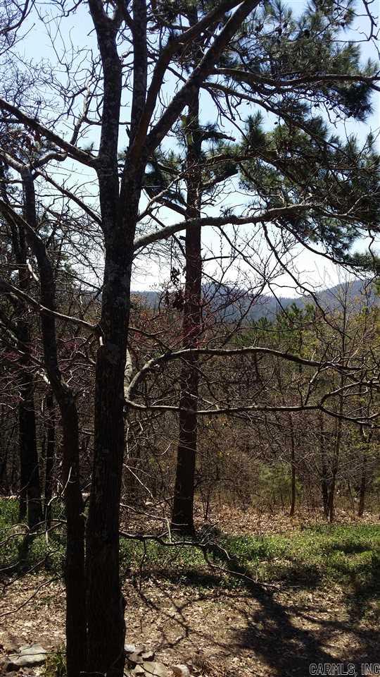 Old Potter - Residential