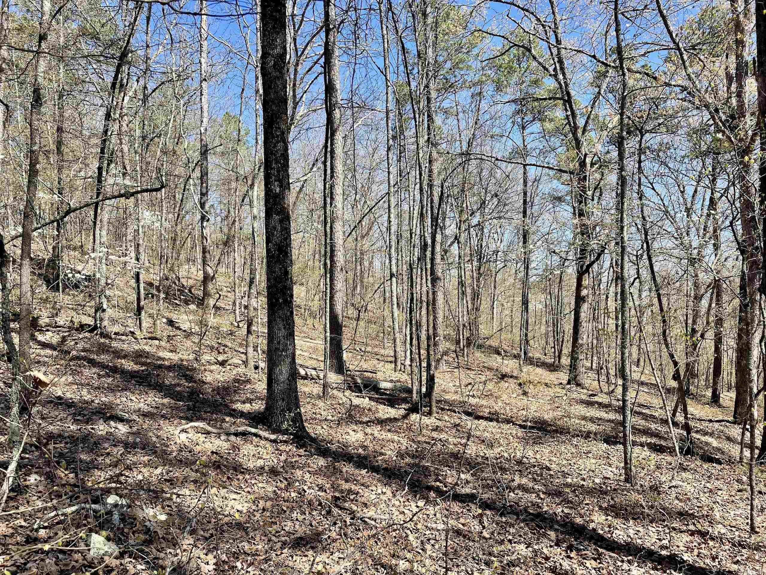 Not in Subdivision - Land