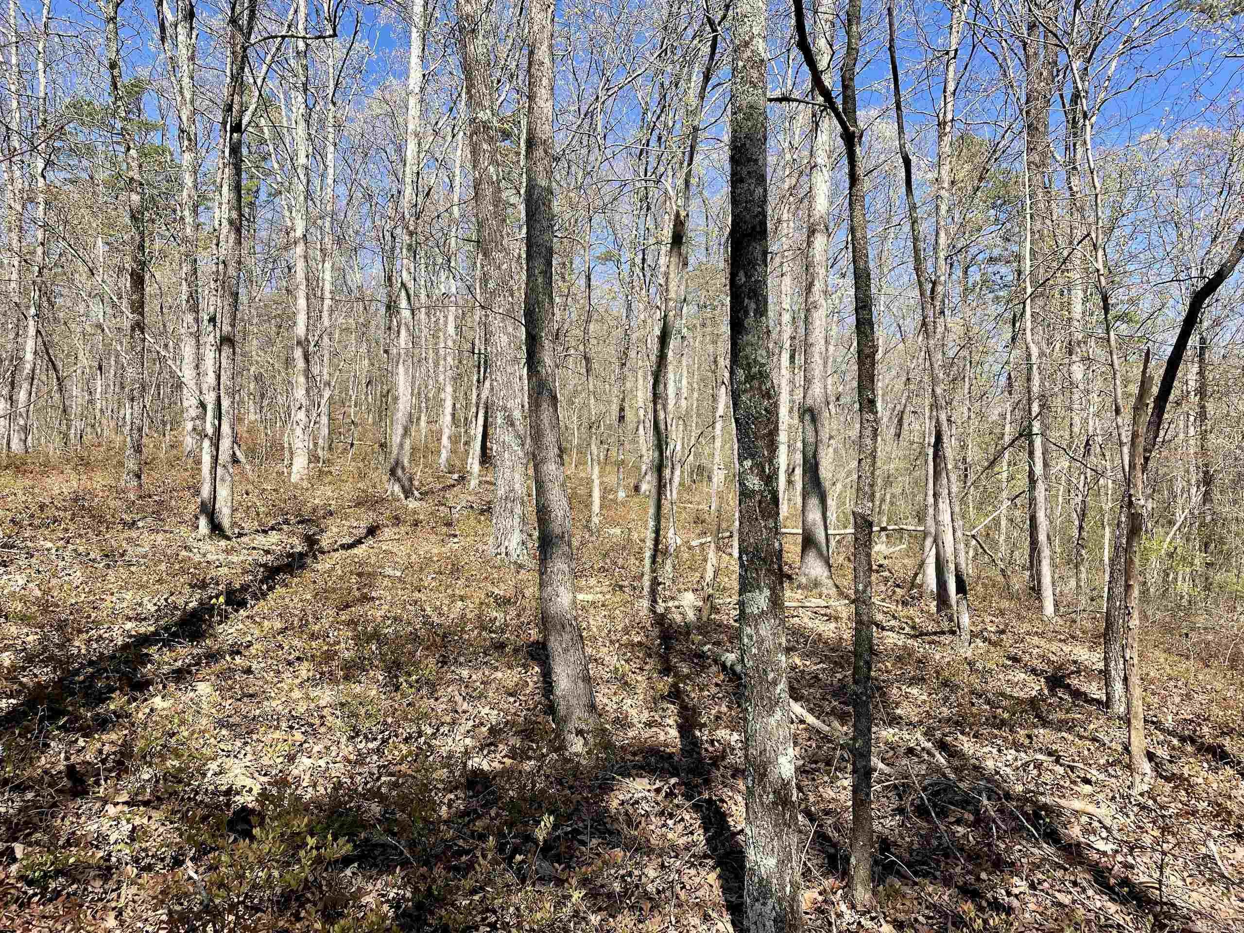 Not in Subdivision - Land