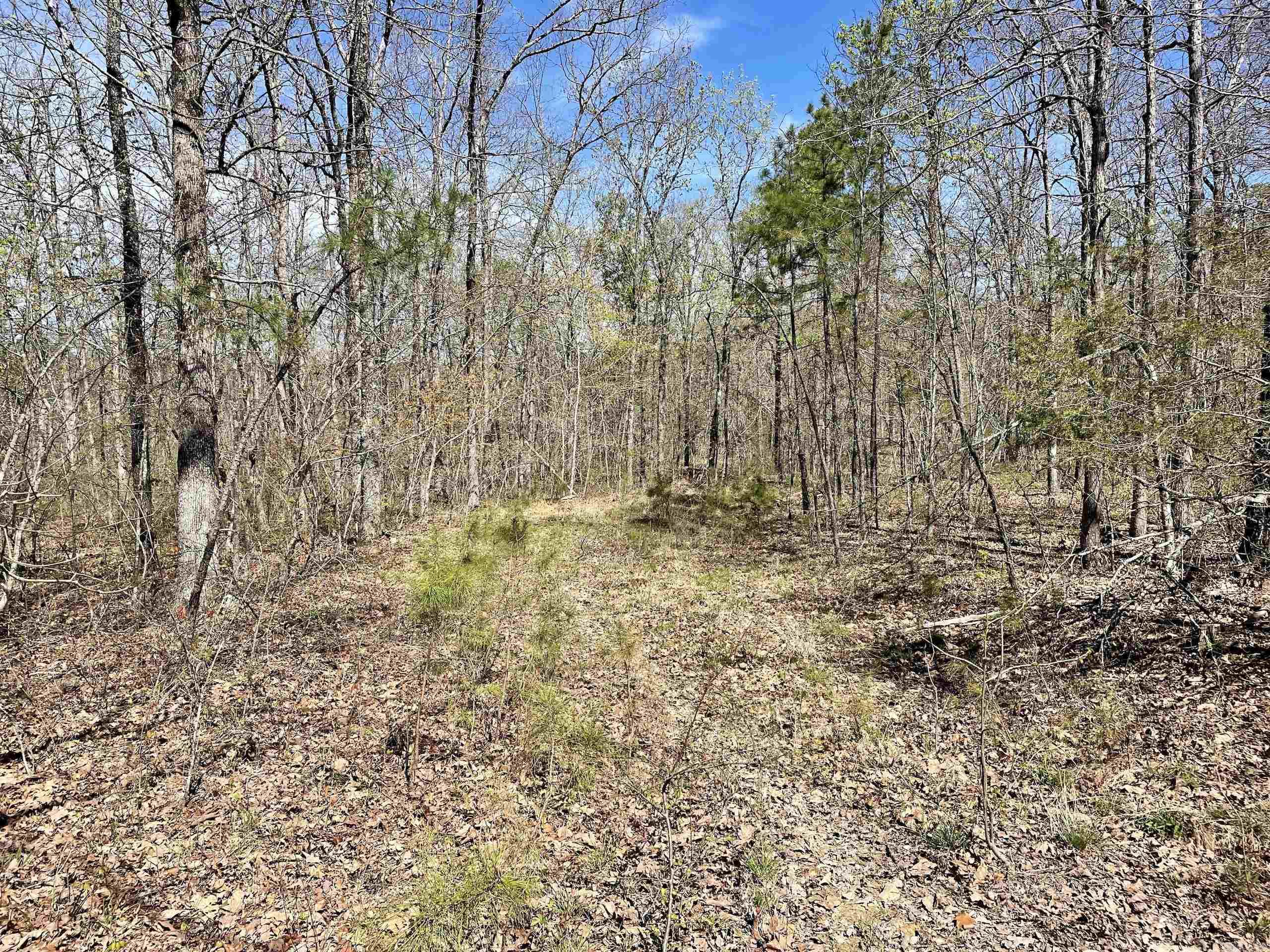 Not in Subdivision - Land