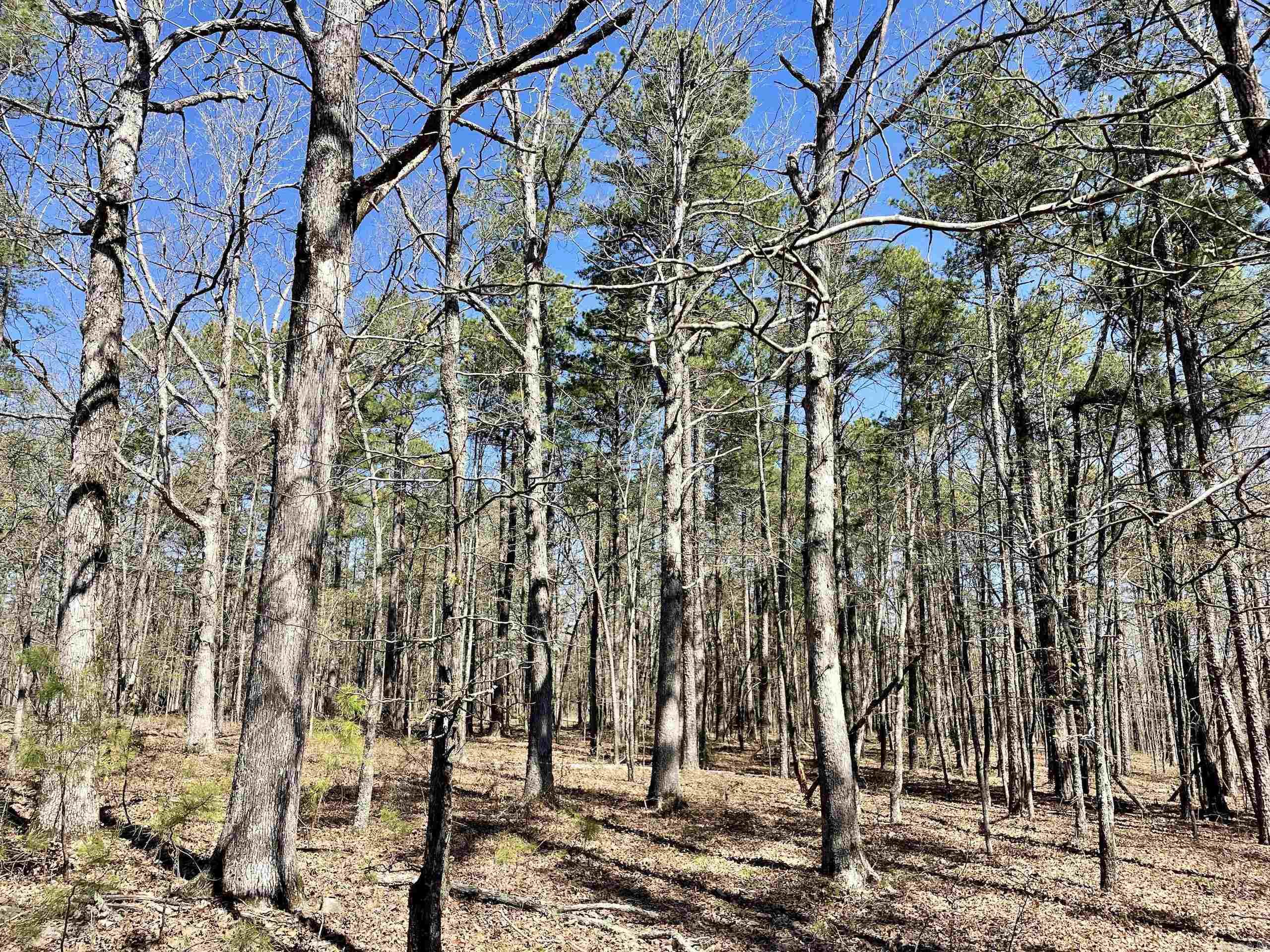 Not in Subdivision - Land