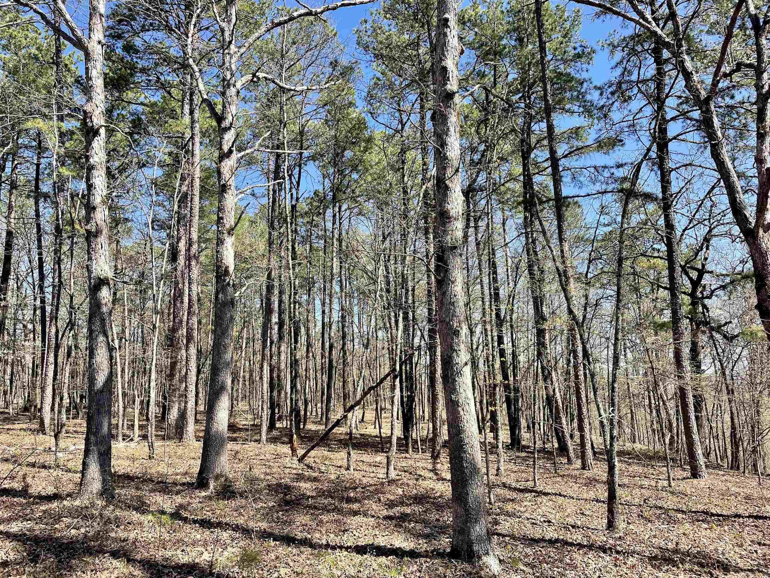 Not in Subdivision - Land