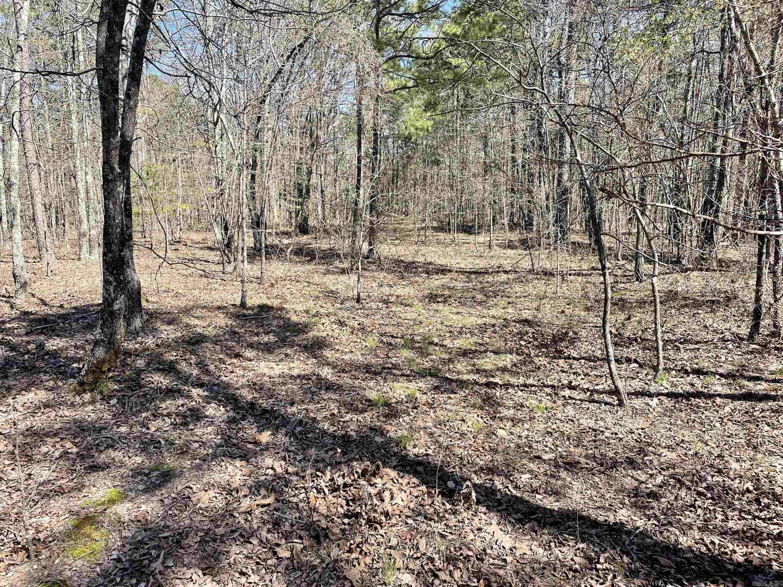 Not in Subdivision - Land