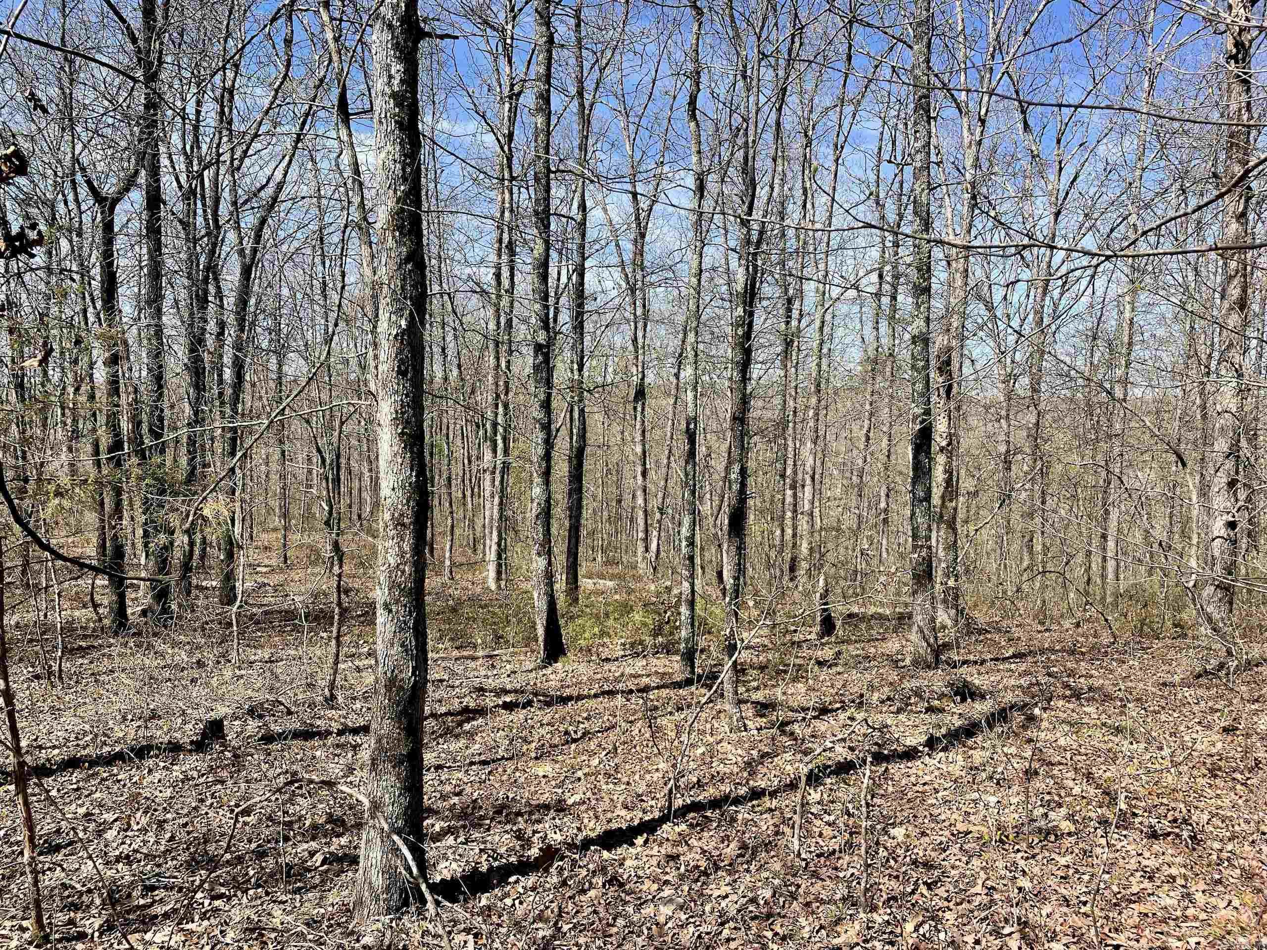 Not in Subdivision - Land