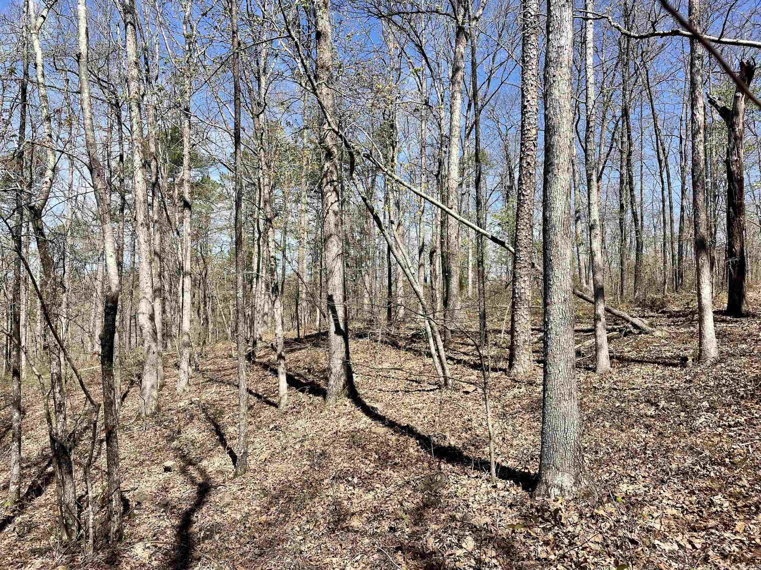 Not in Subdivision - Land