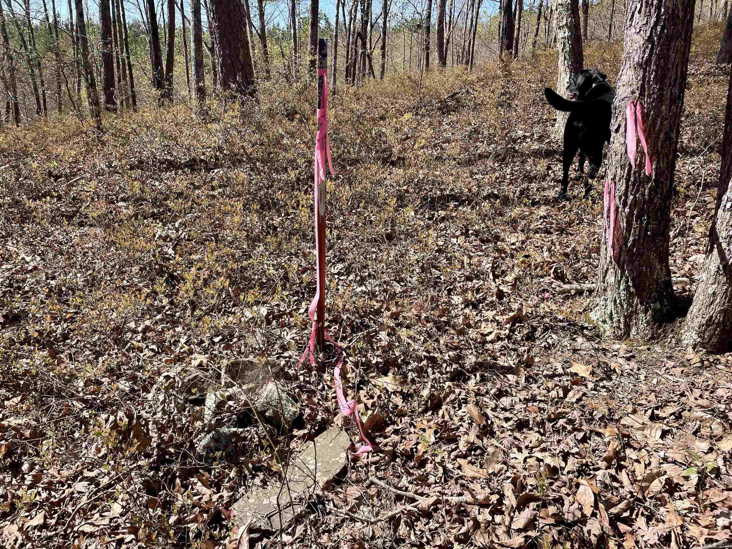 Not in Subdivision - Land