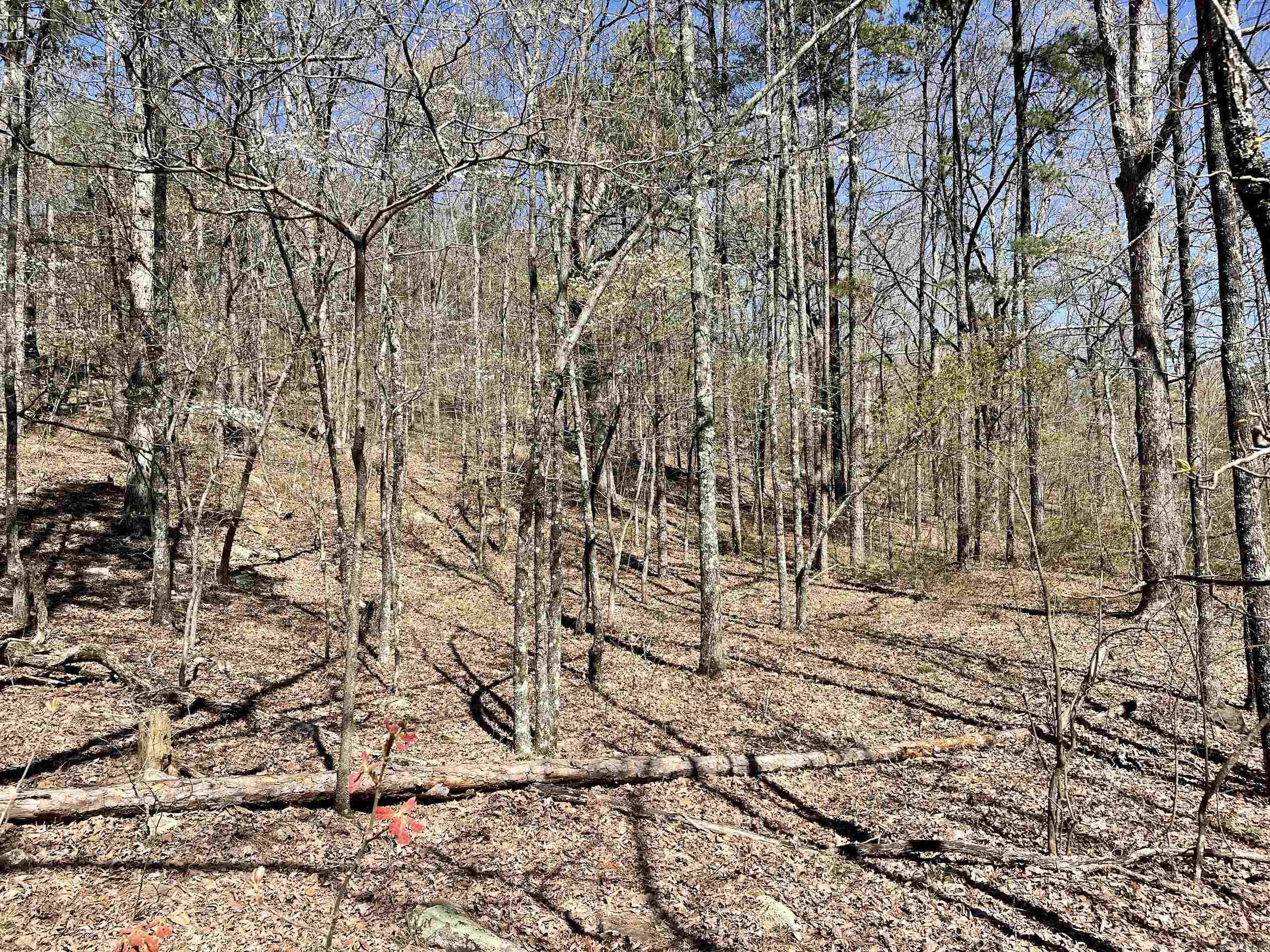 Not in Subdivision - Land