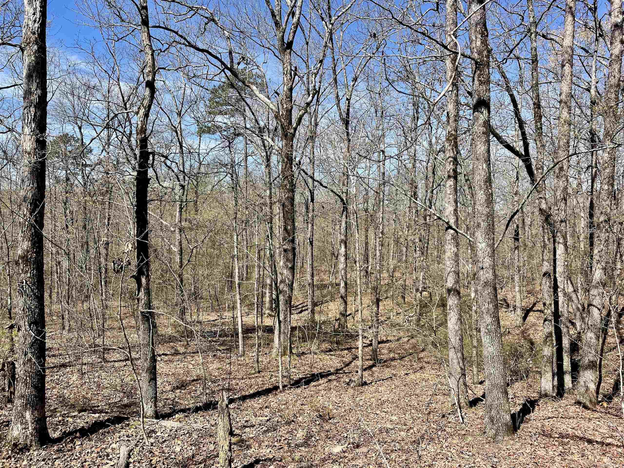 Not in Subdivision - Land