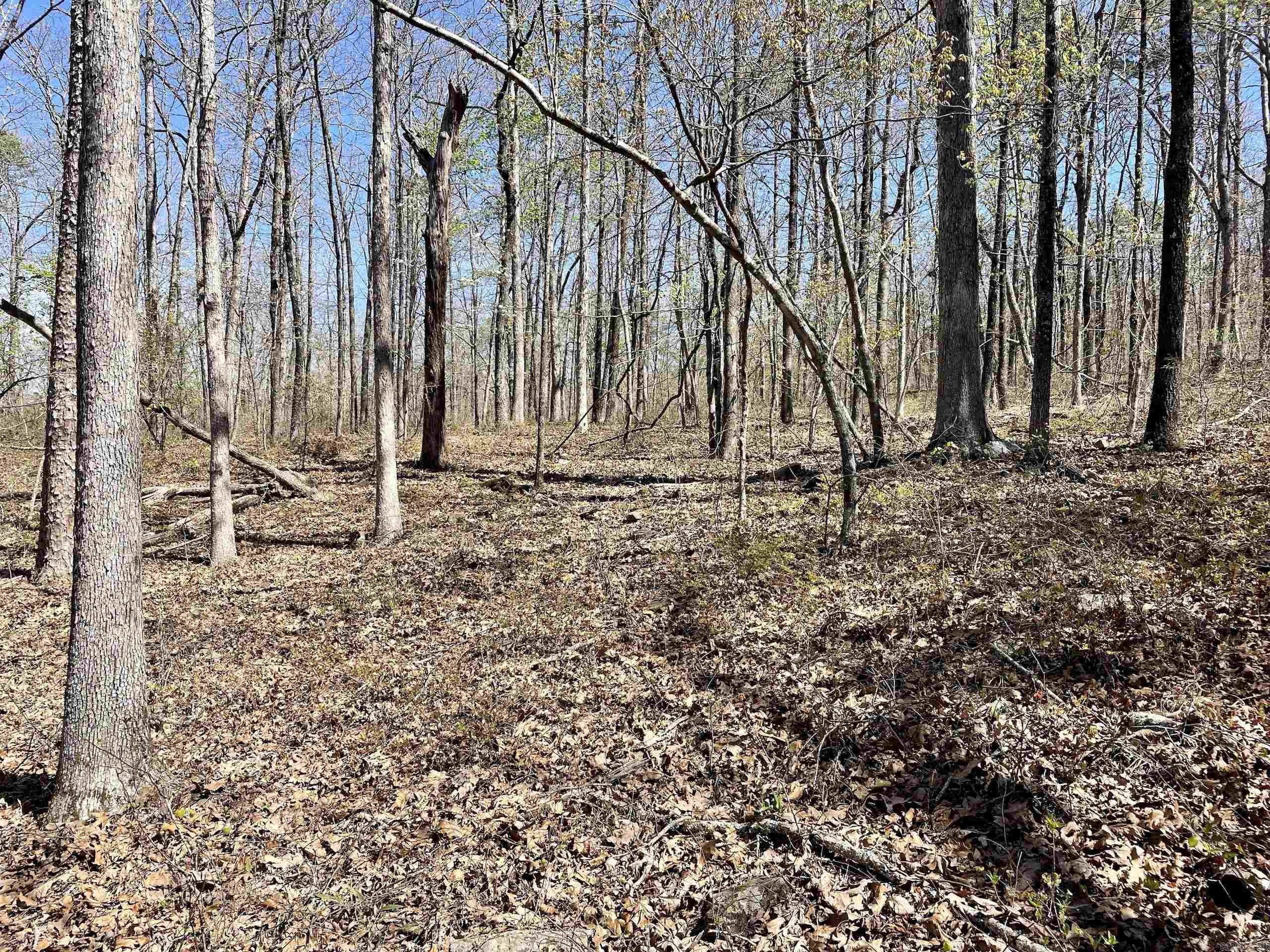 Not in Subdivision - Land