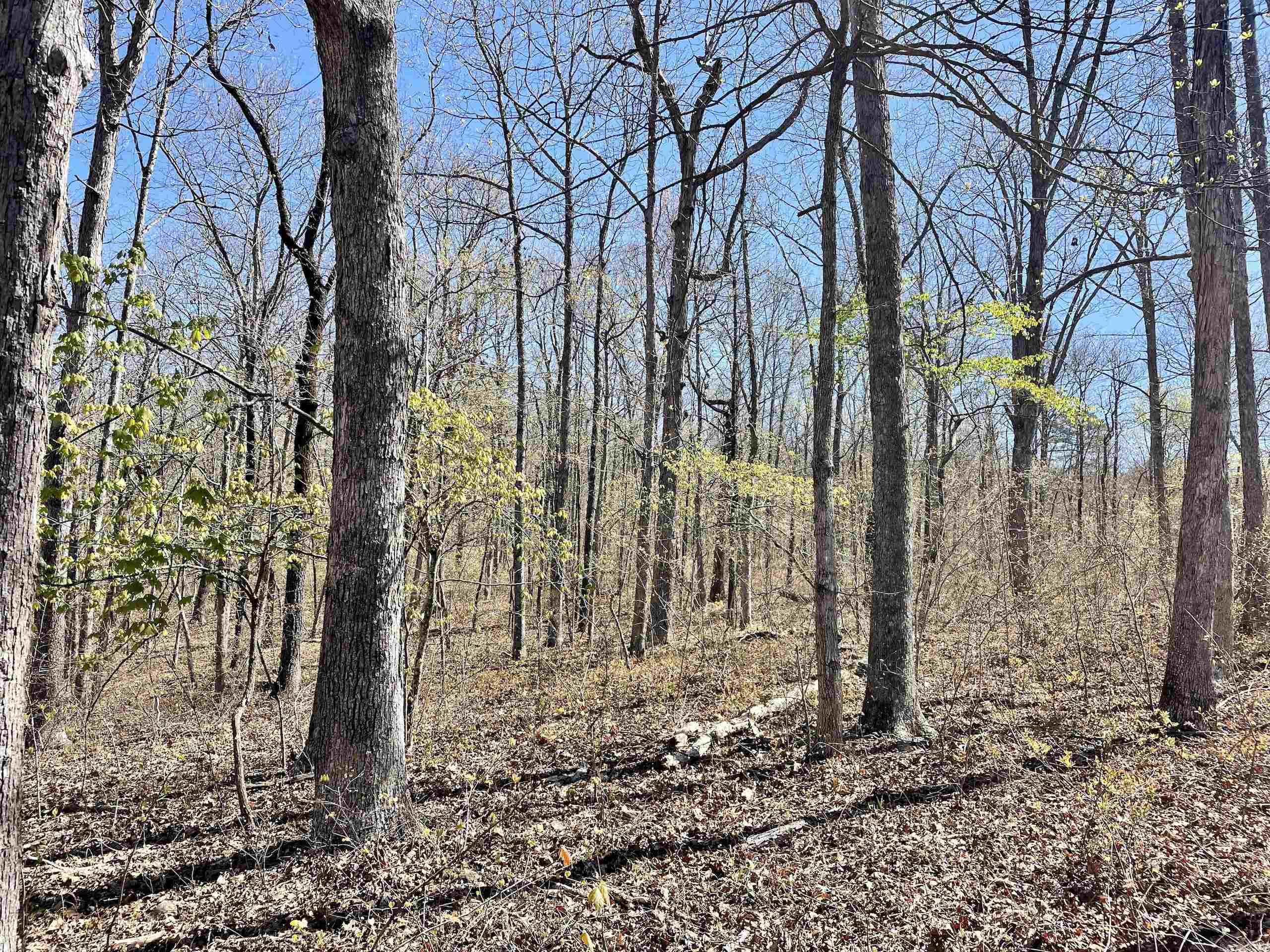 Not in Subdivision - Land