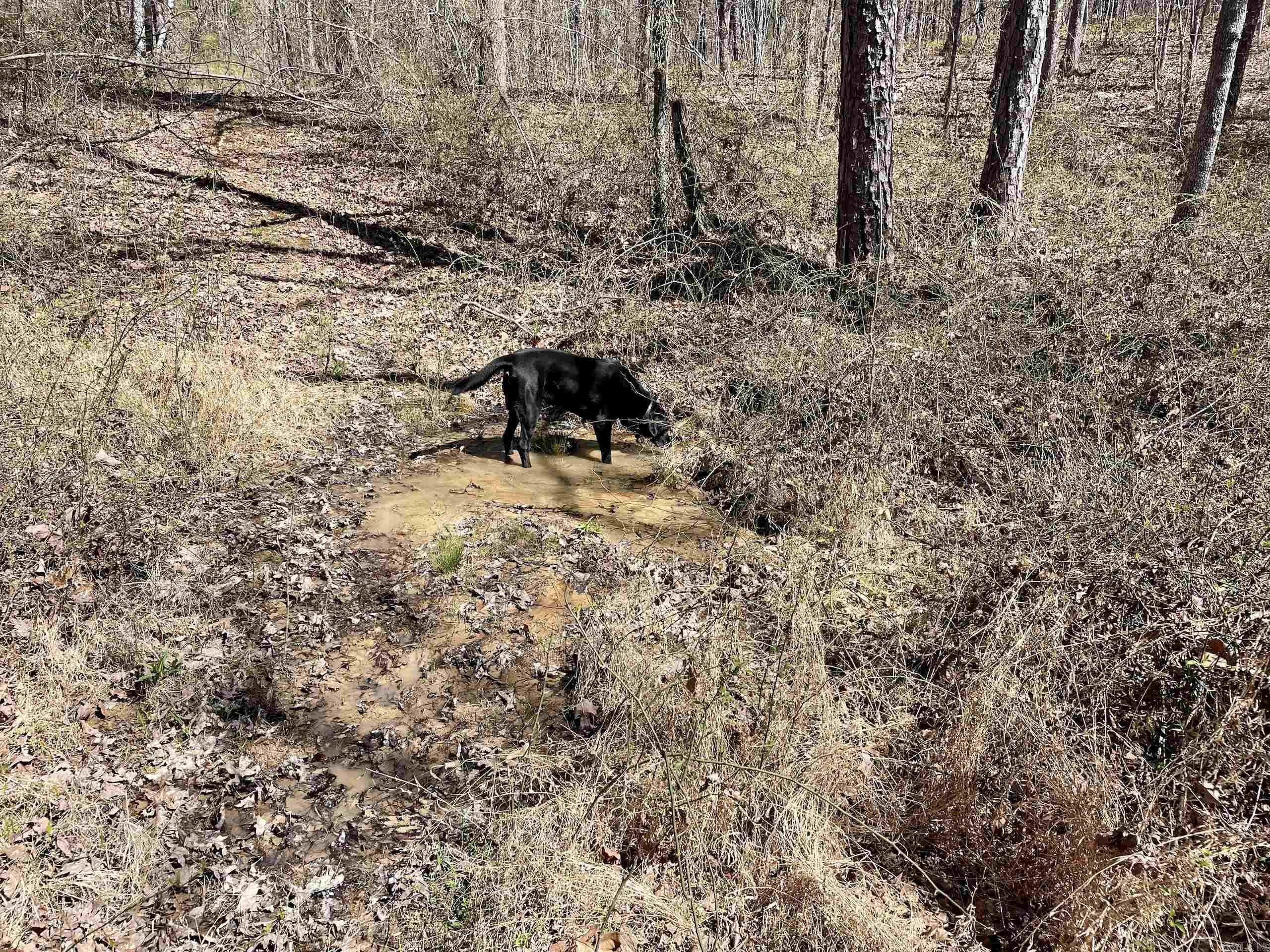 Not in Subdivision - Land