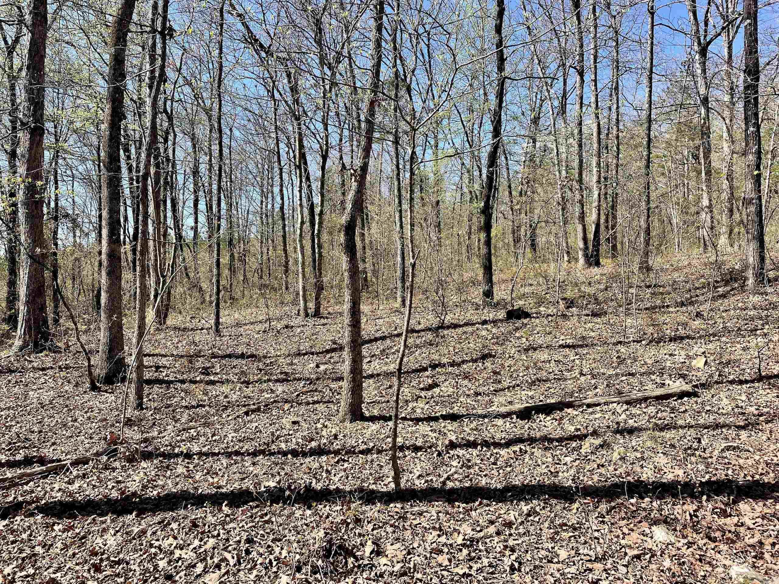 Not in Subdivision - Land