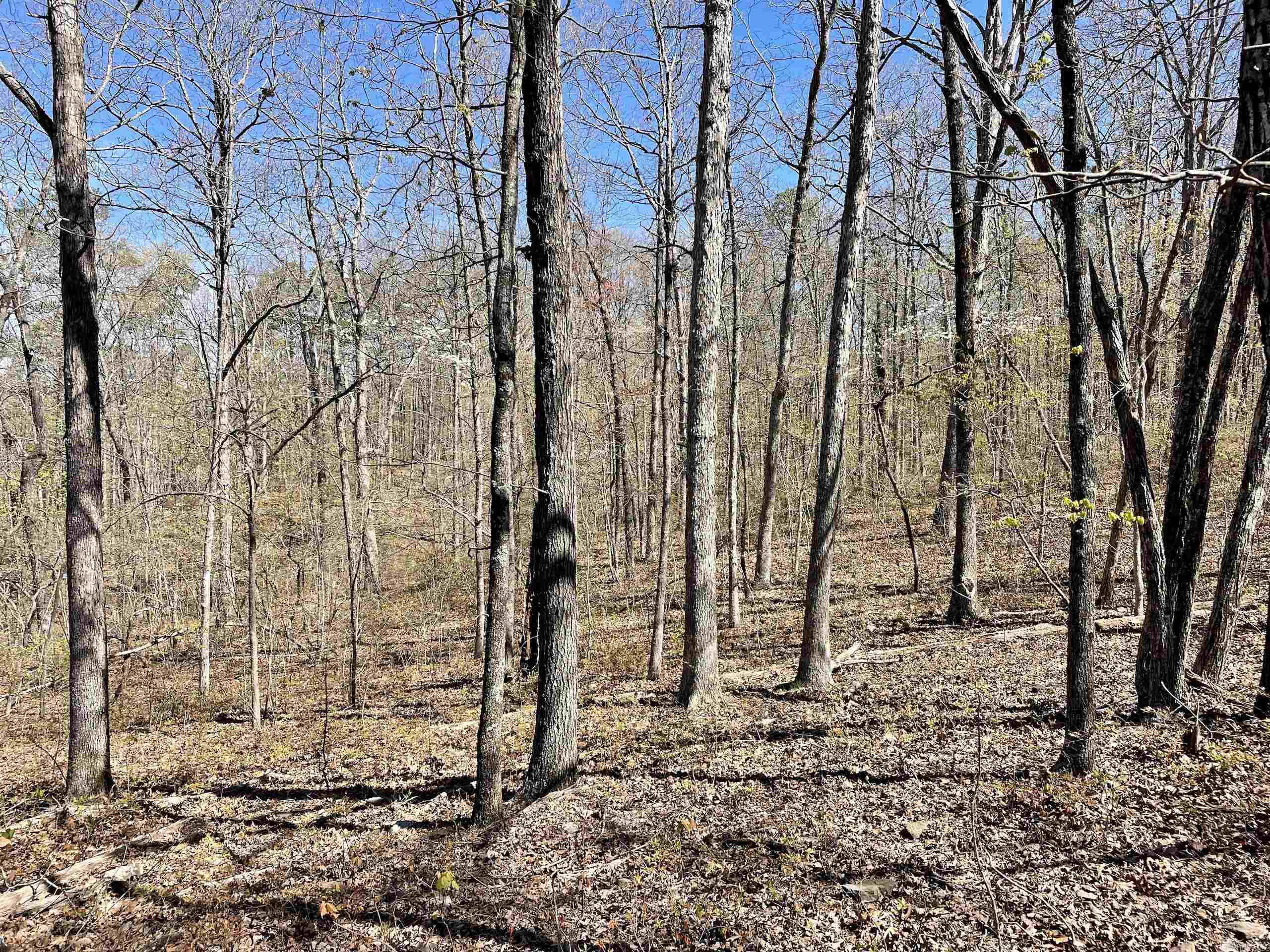 Not in Subdivision - Land